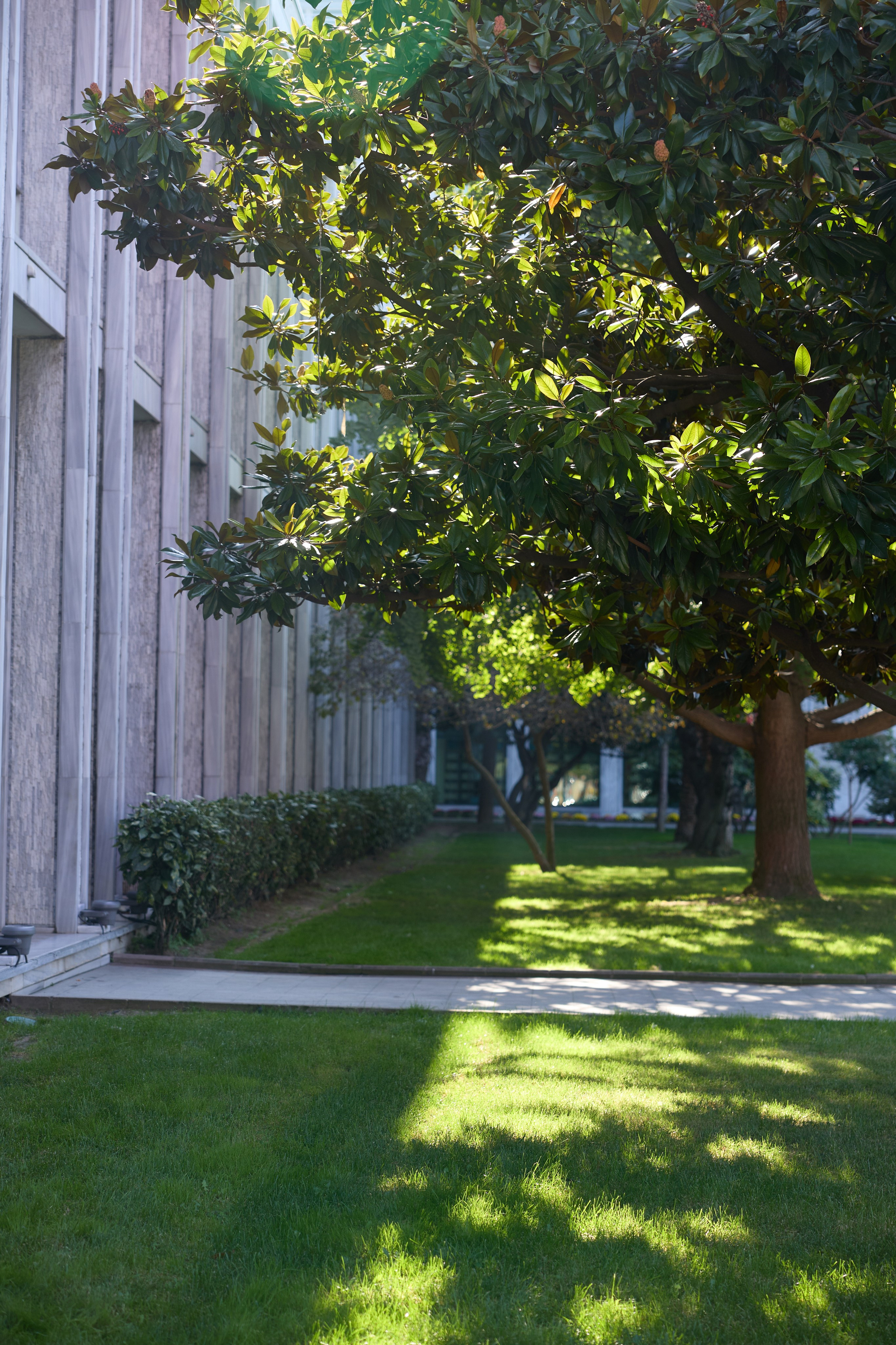 Стамбул 24. Фотограф Москва, Дима Пеллер