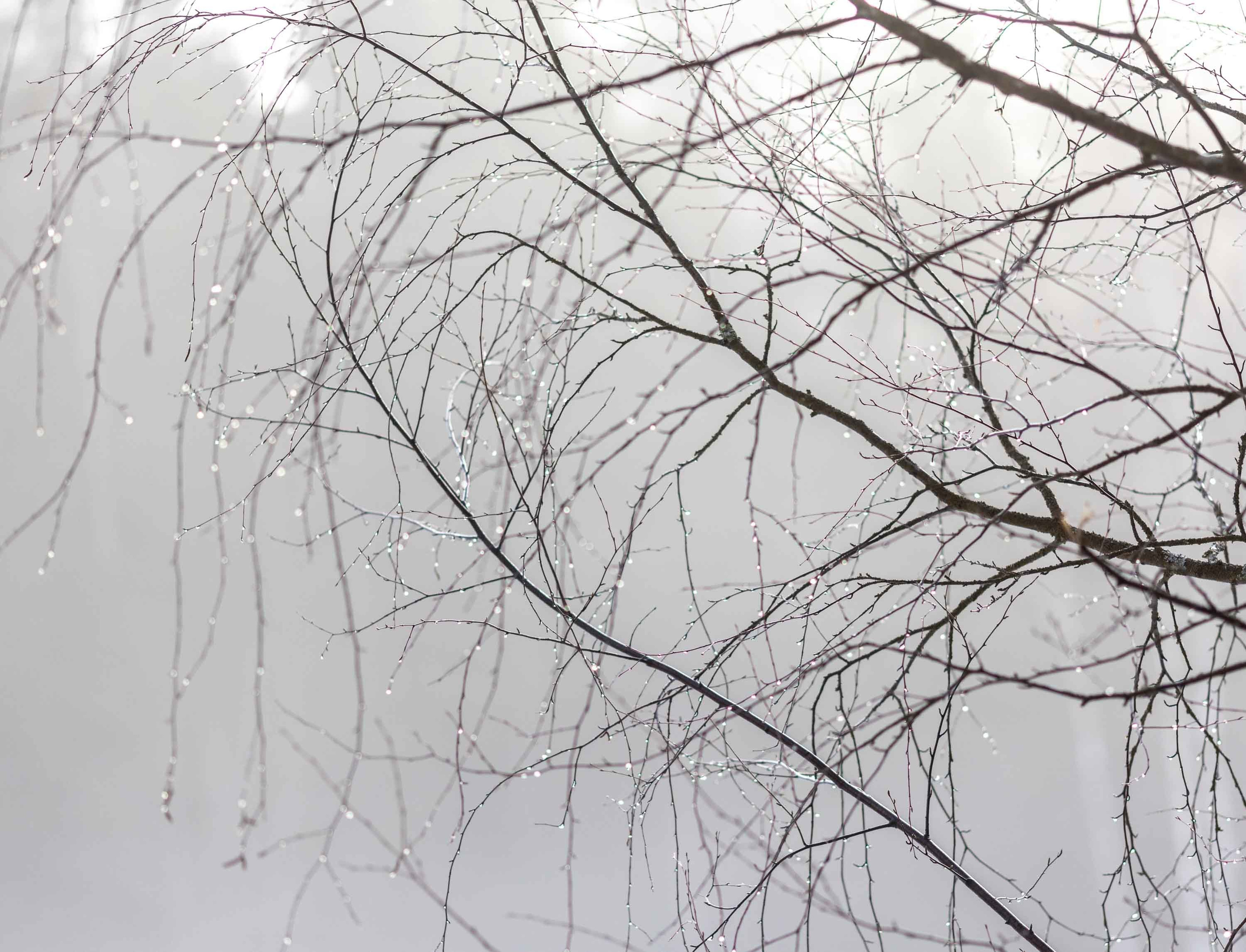 Природные пейзажи. Наталия Клевинскас портретный фотограф в Костроме