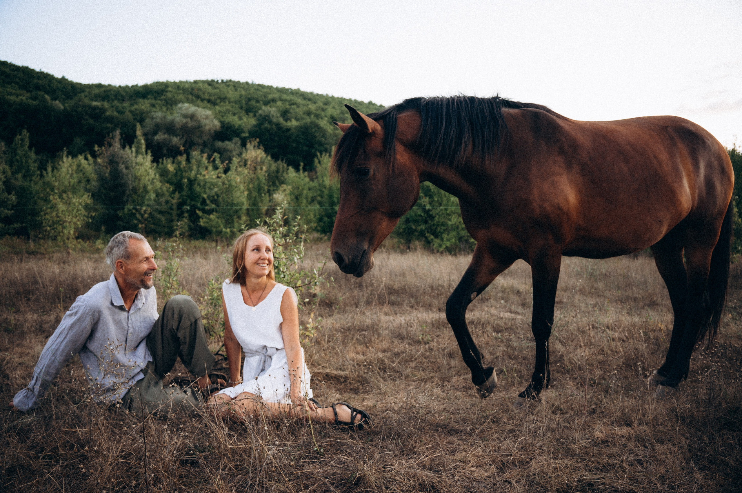 Проект свободных лошадей. Обо мне