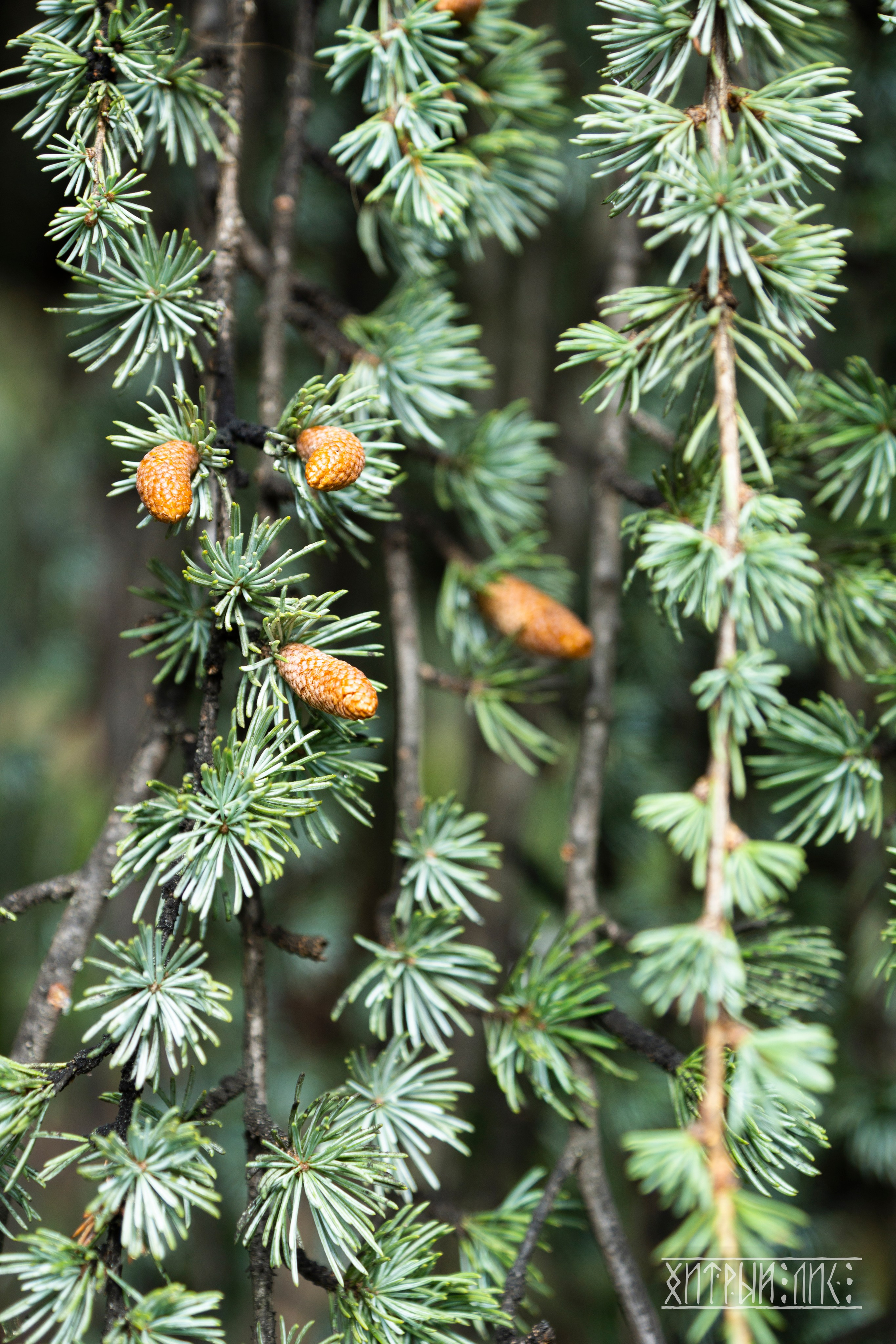 Крым. Фотограф-путешественник Самойлов Максим «Sly Fox»
