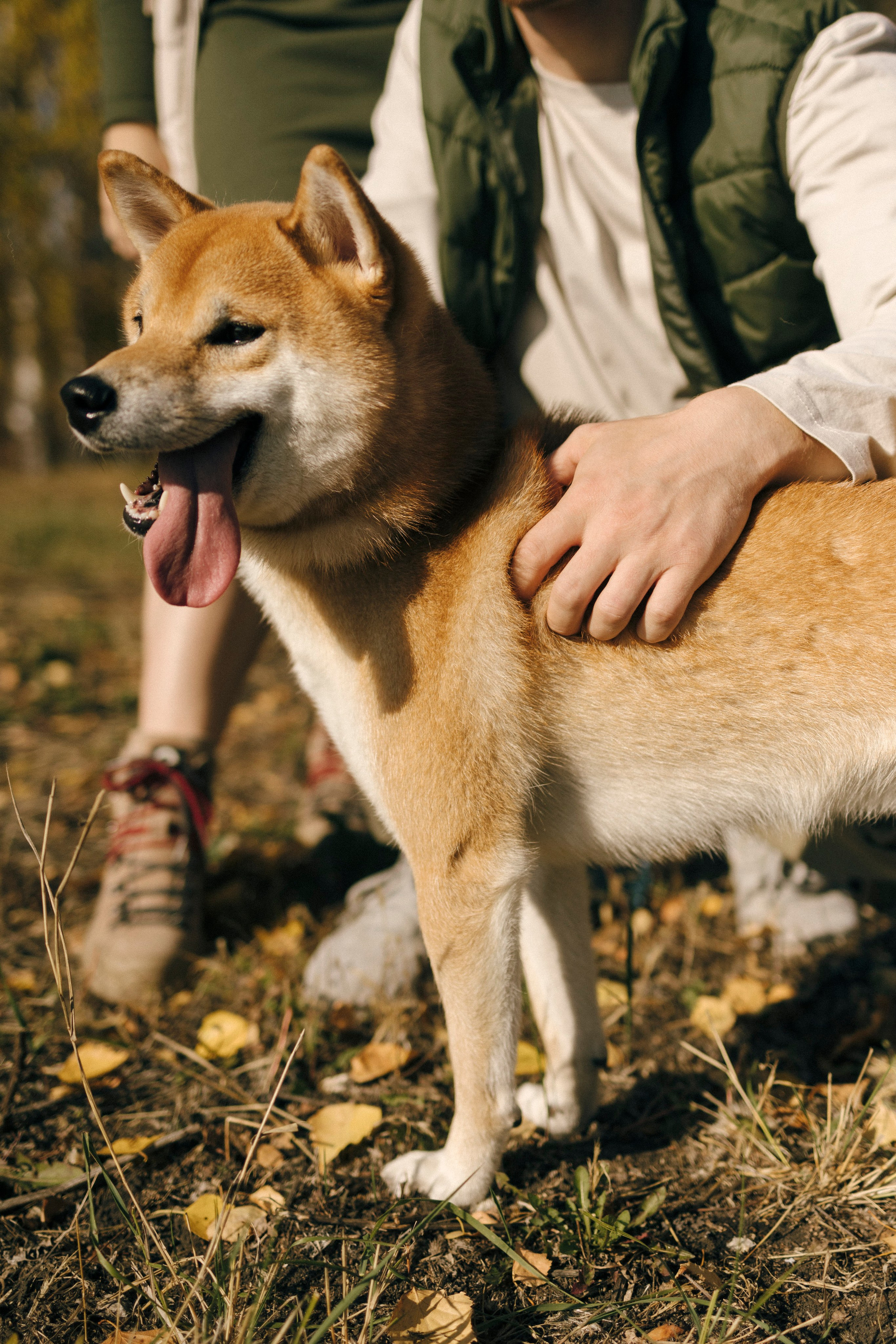 Алексей и Анастасия. Свадебный и портретный фотограф Тюмень