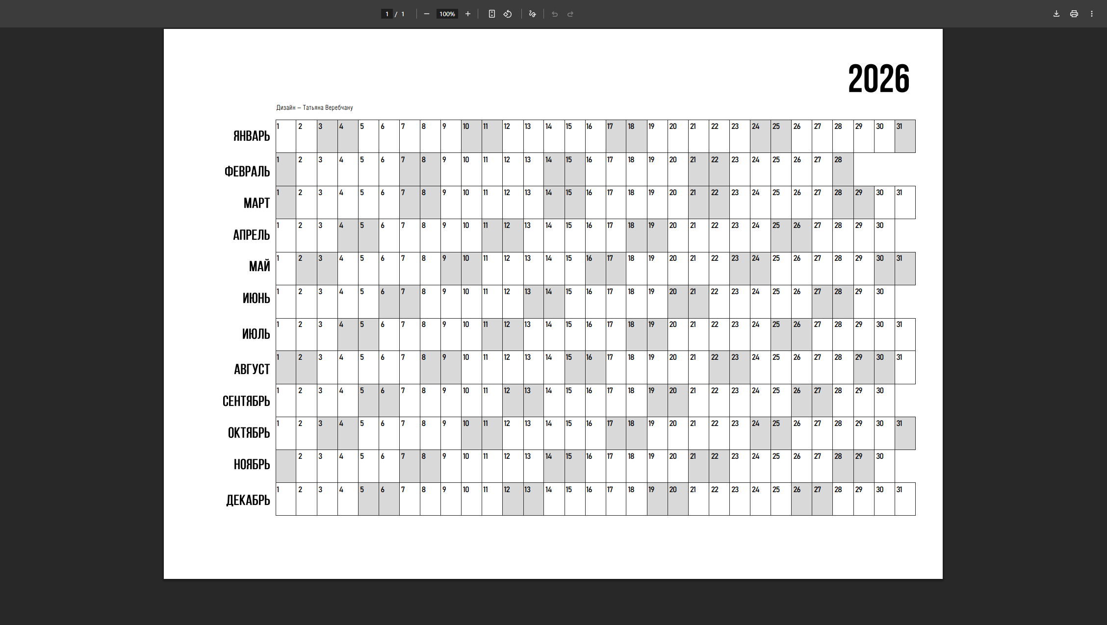 Планер 2026. Видеограф Татьяна Веребчану