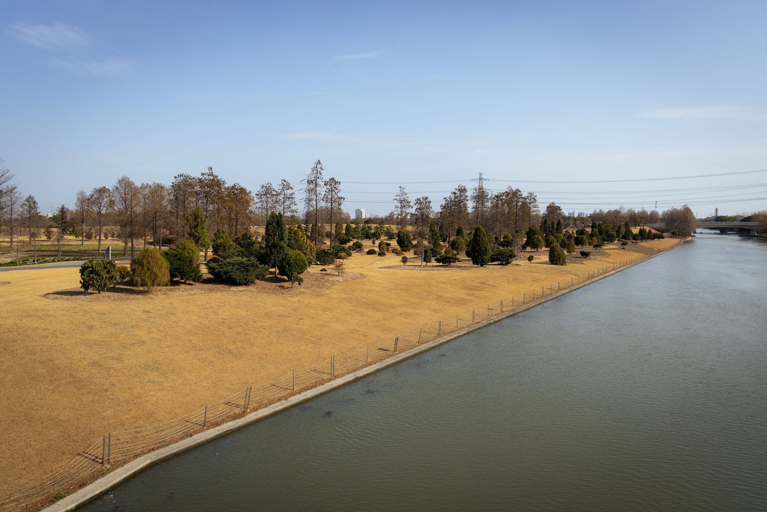 Шанхай (март 2026). Фотограф Виноградов Константин