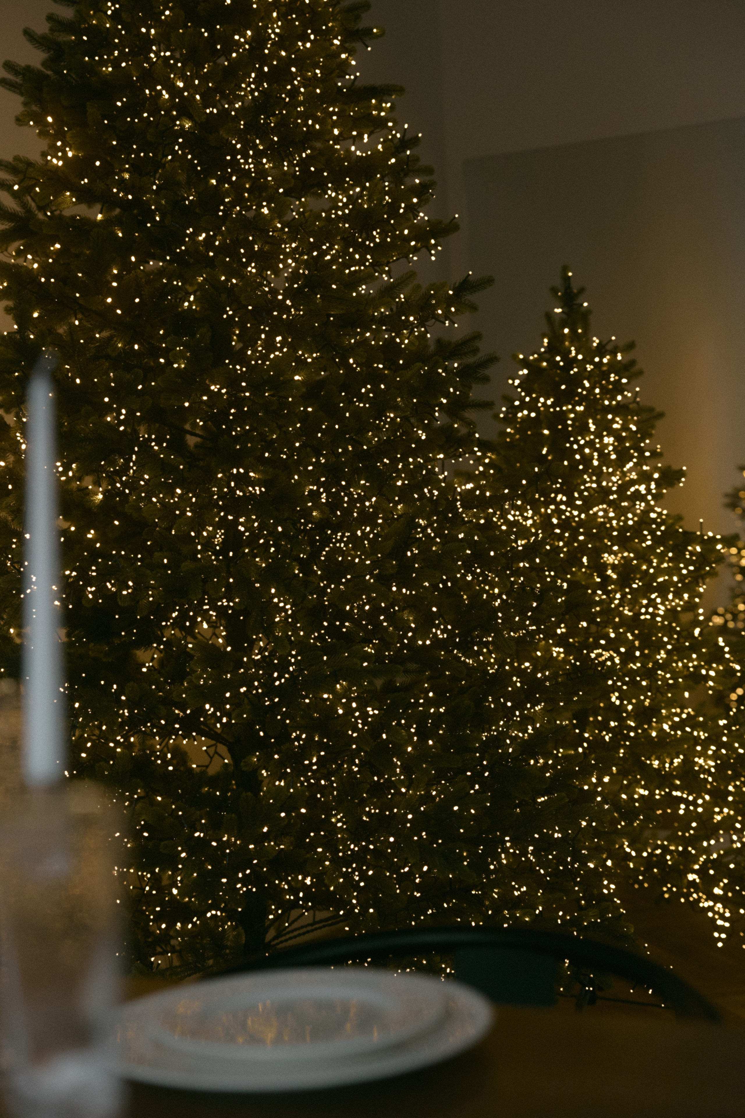 Олег + Настя + София. Семейный и детский фотограф Юлия Шох