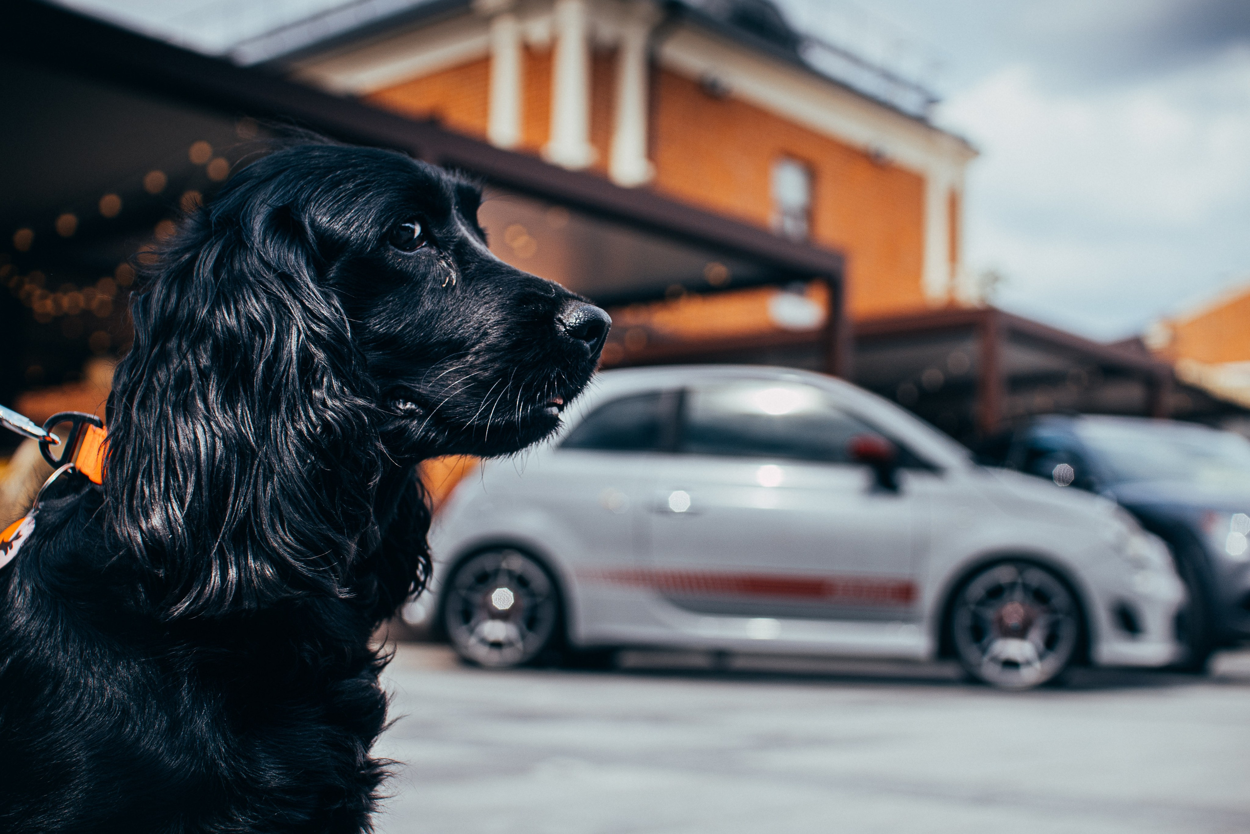 Моторы Италии. ДЕПО три вокзала. Жуков Илья  свадебный фотограф в Москве