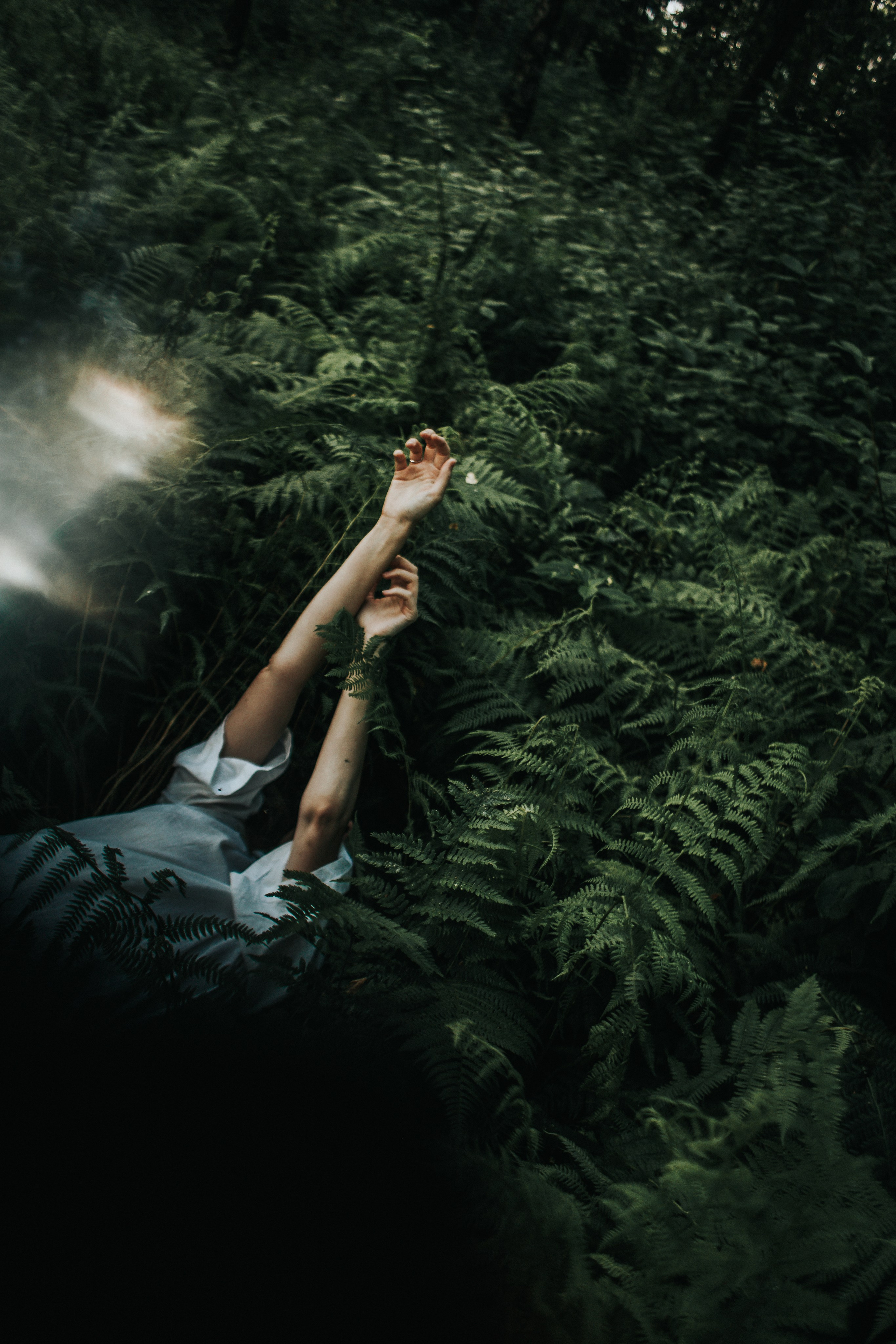 Ирина. Папоротник. Фотограф в Нижнем Новгороде