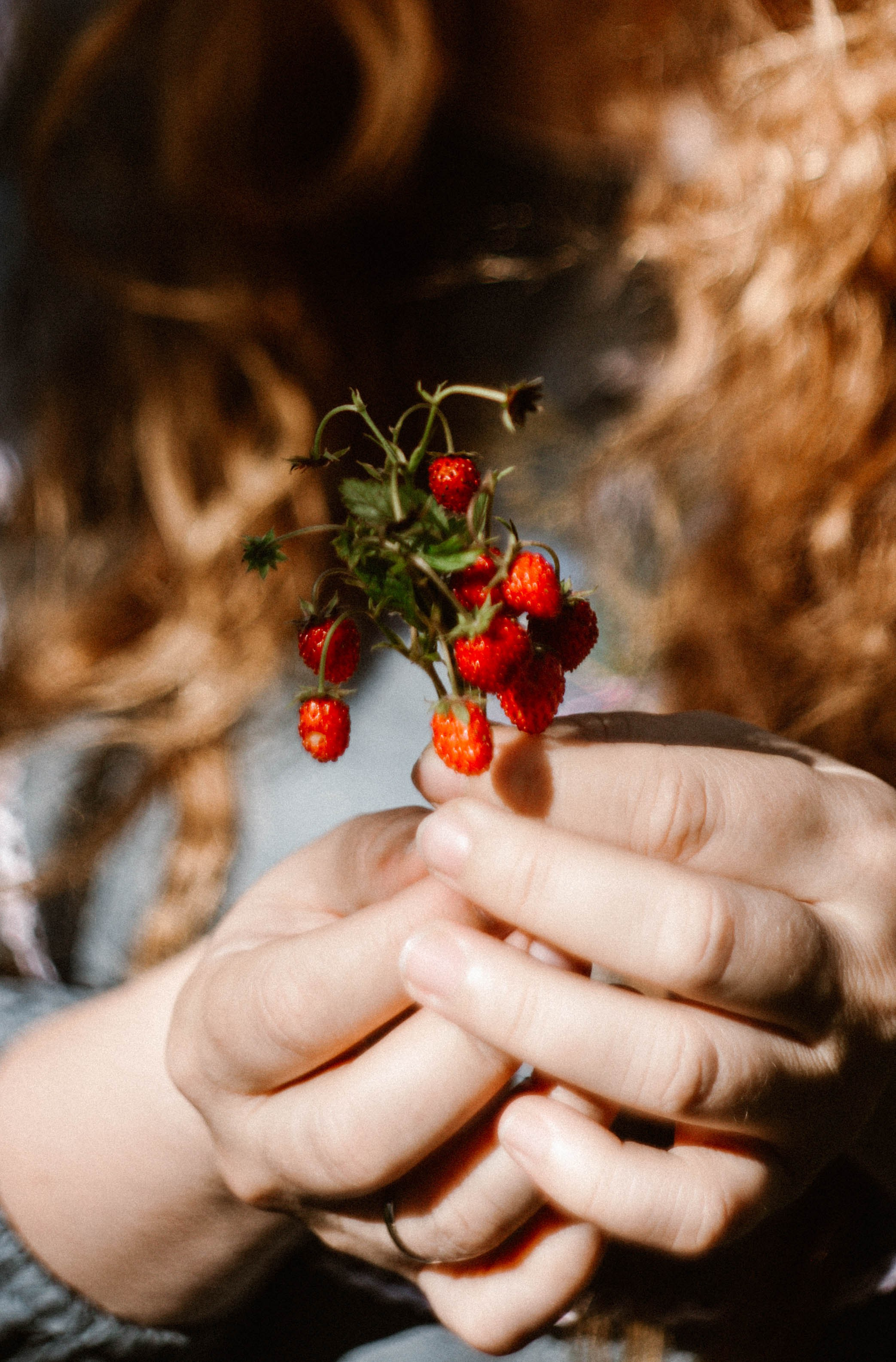 Алина+ Дима лес. Фотограф в Нижнем Новгороде