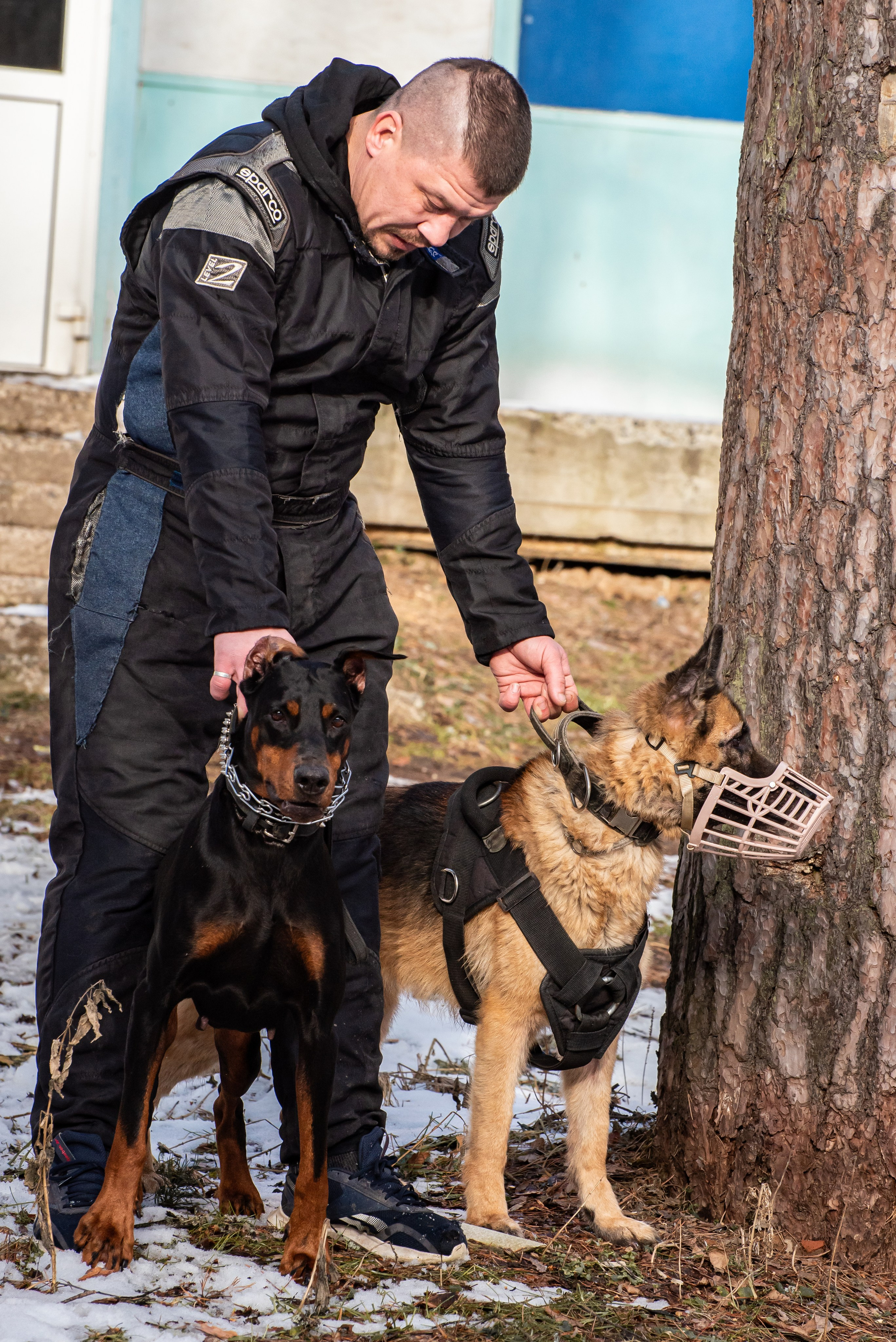 Фотосъёмка с собаками в Кинологическом лагере. Фотограф Макс Огурцов в Нижнем Новгороде