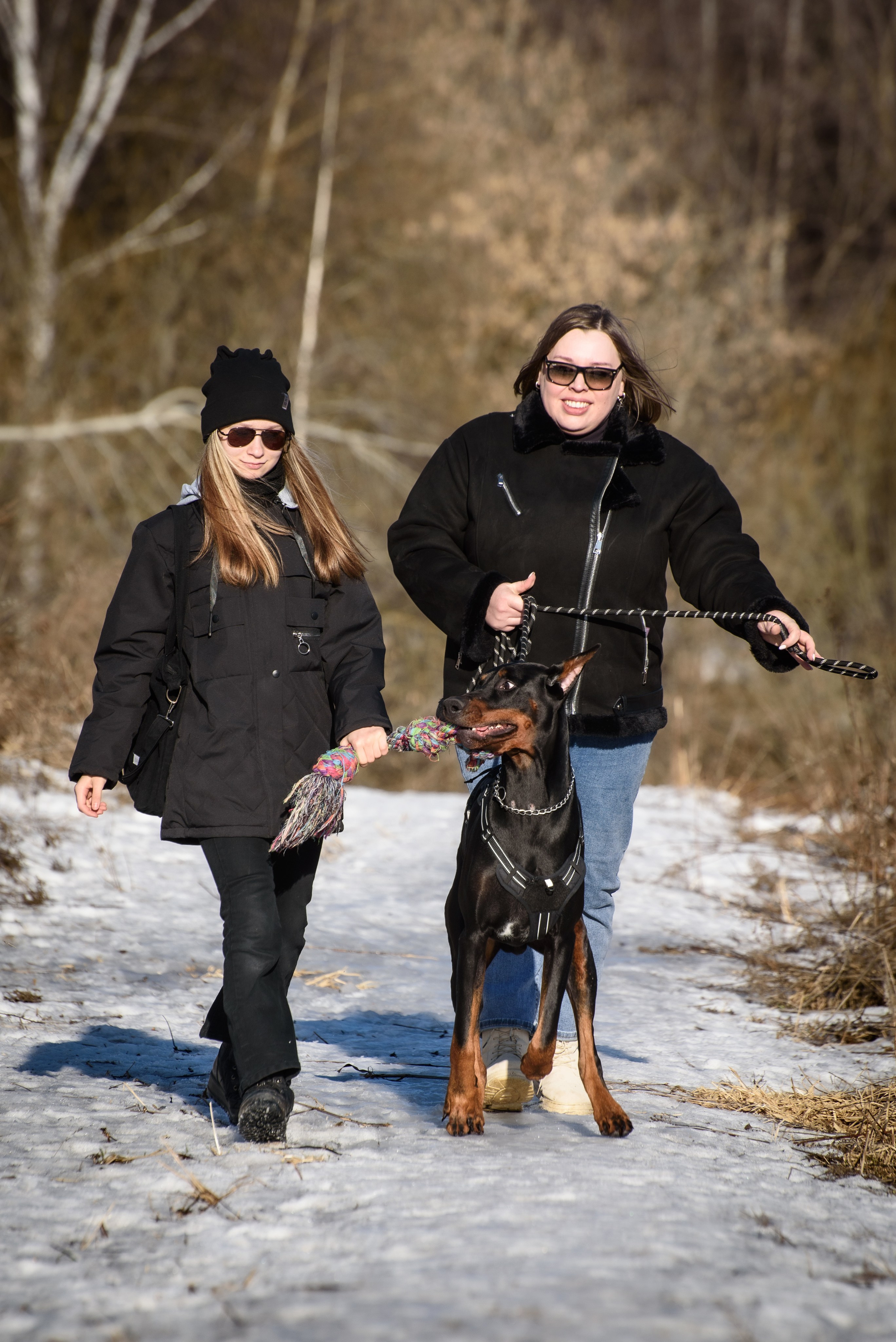 Фотосессию с любимым доберманом. Фотограф Макс Огурцов в Нижнем Новгороде