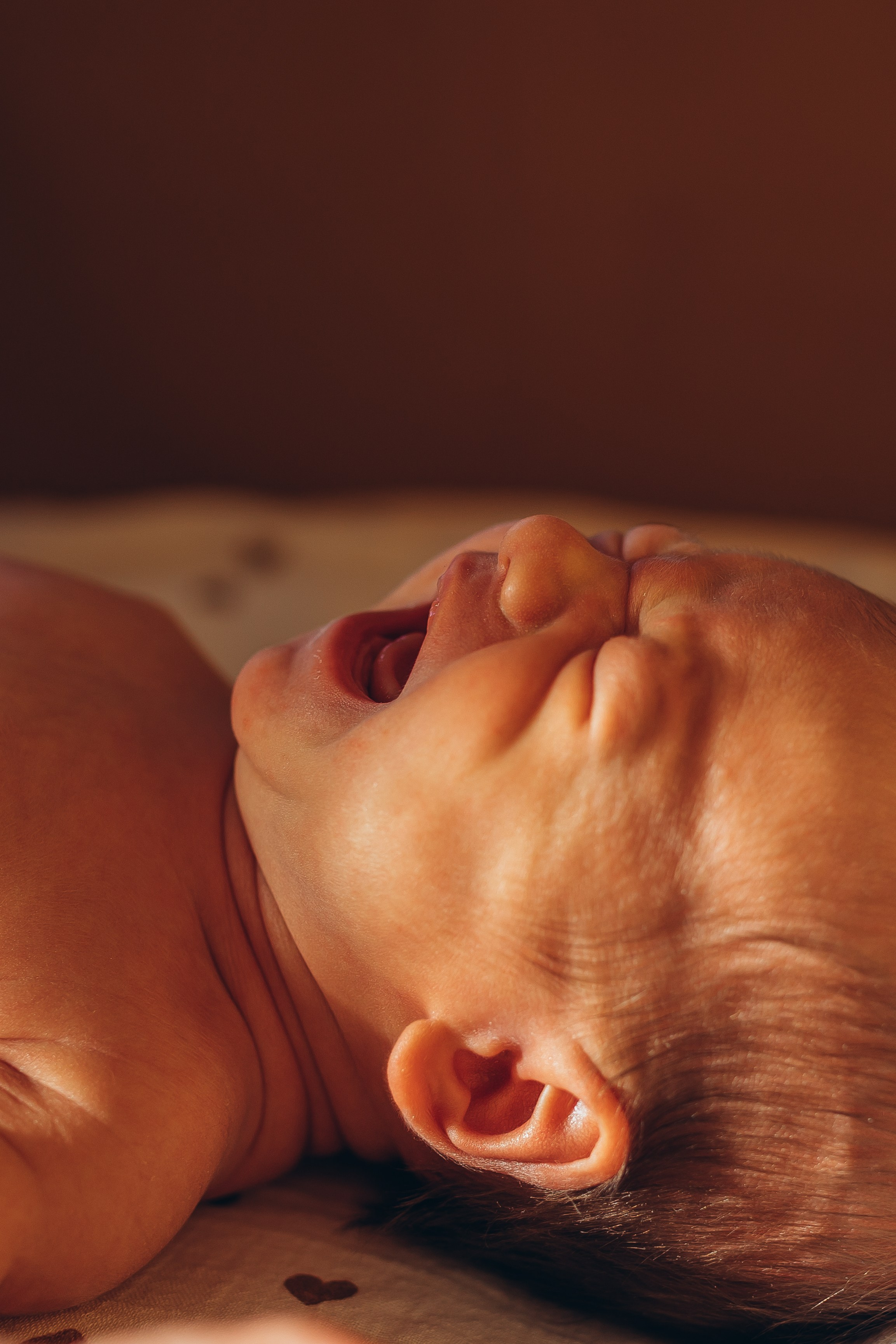 Новорождённые и малыши. Семейный фотограф Маруся Самылкина в Санкт-Петербурге