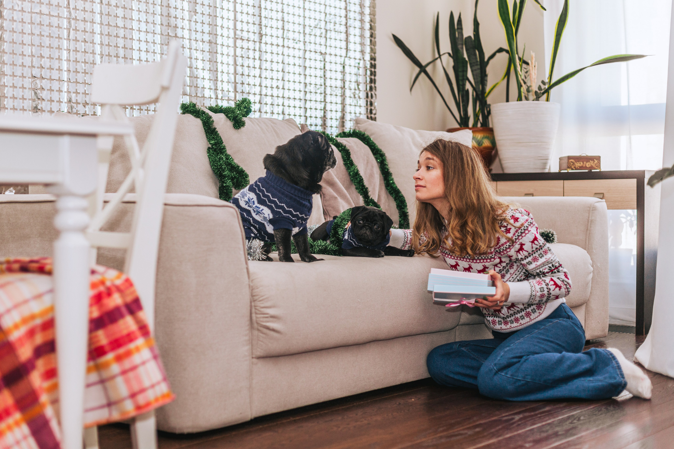 Домашняя фотосессия Оли и двух ее мопсов. Фотограф-анималист Татьяна Степанова
