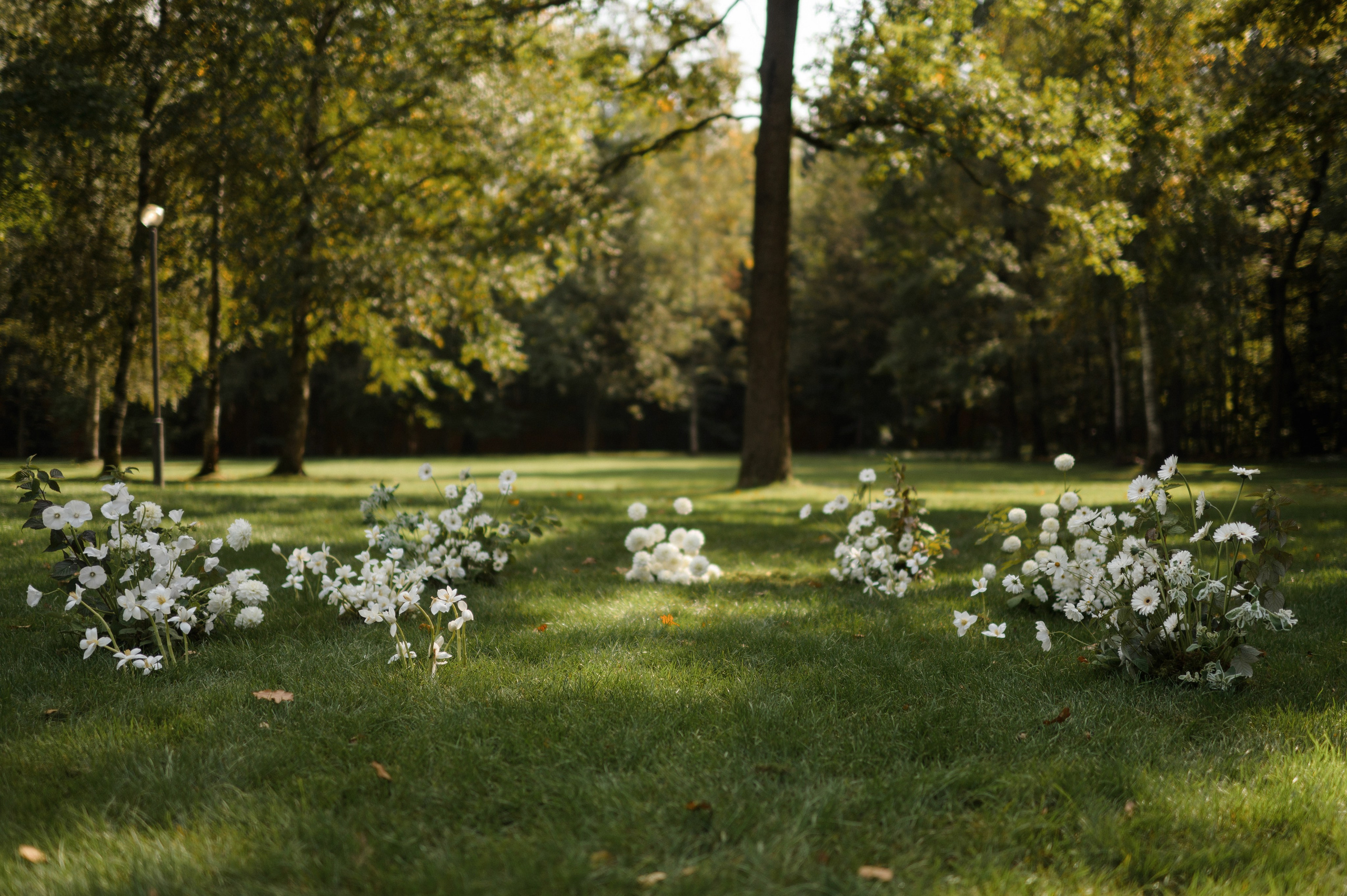 Вова и Поля 11.09.23. VENSKAYA WEDDING & EVENT PLANNER