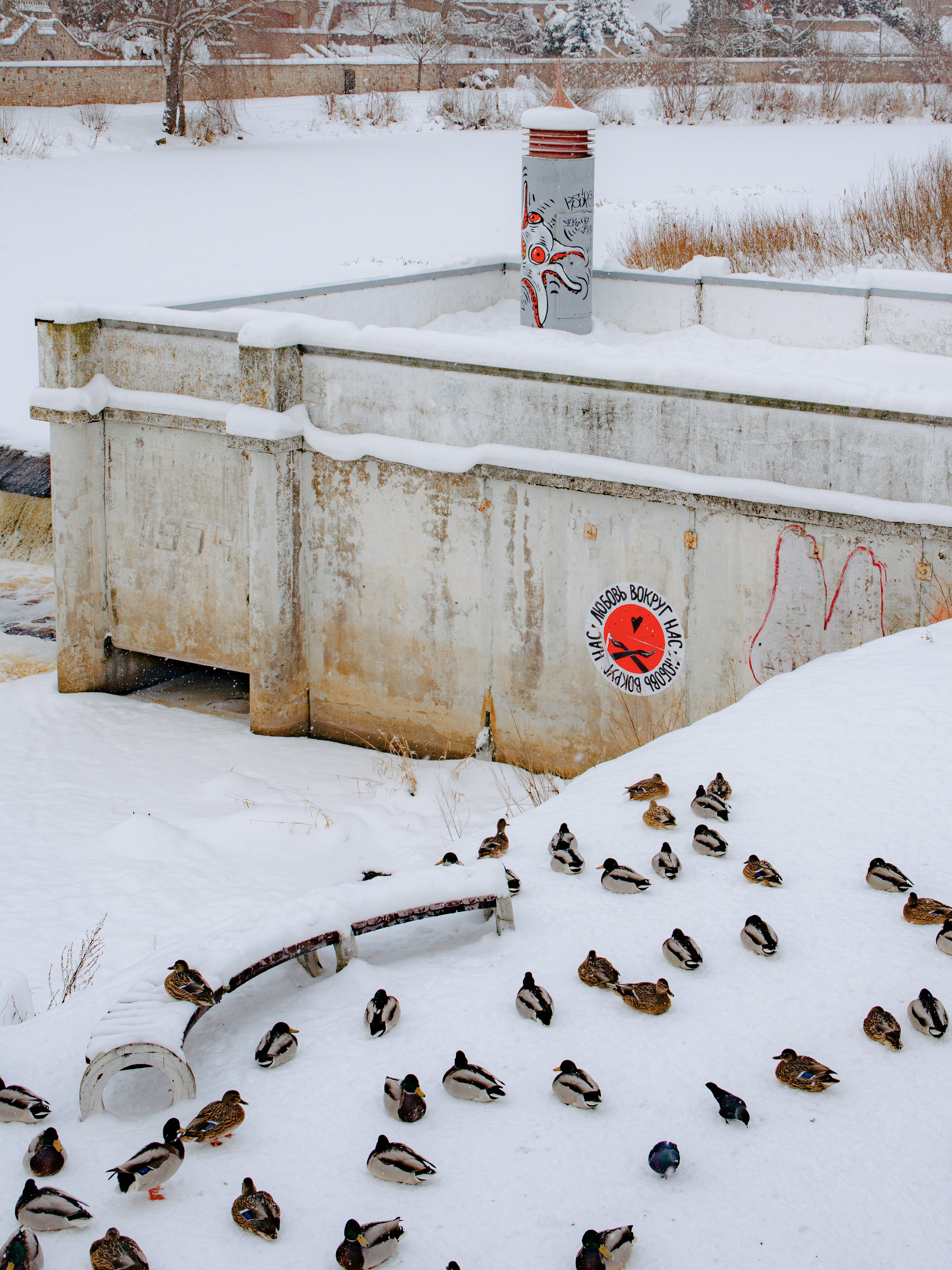 Стрит-фотография, пейзаж. Фотограф в Пскове и Санкт-Петербурге Татьяна Рейнелл