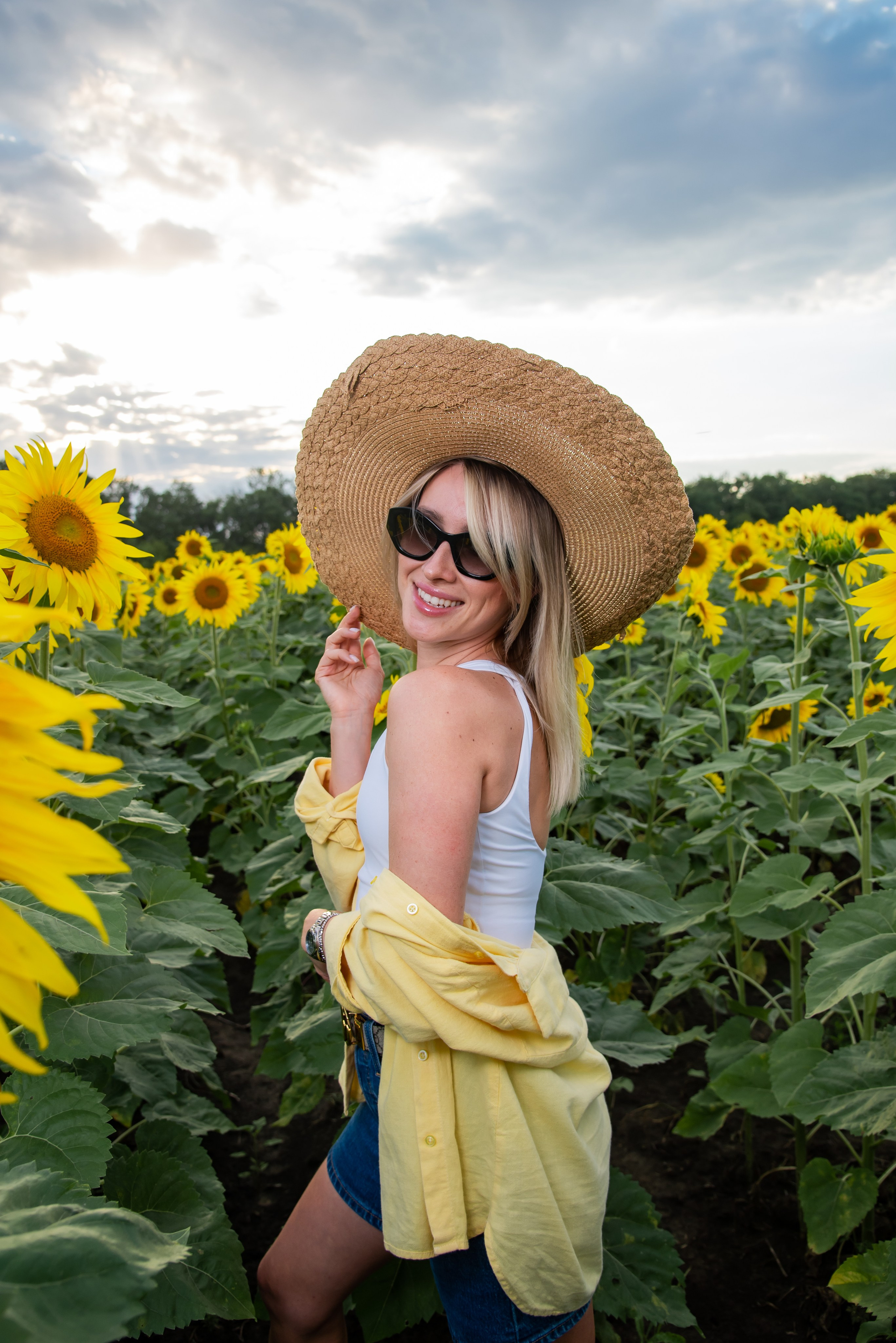 Подсолнух. Фотограф Галина Нестерова