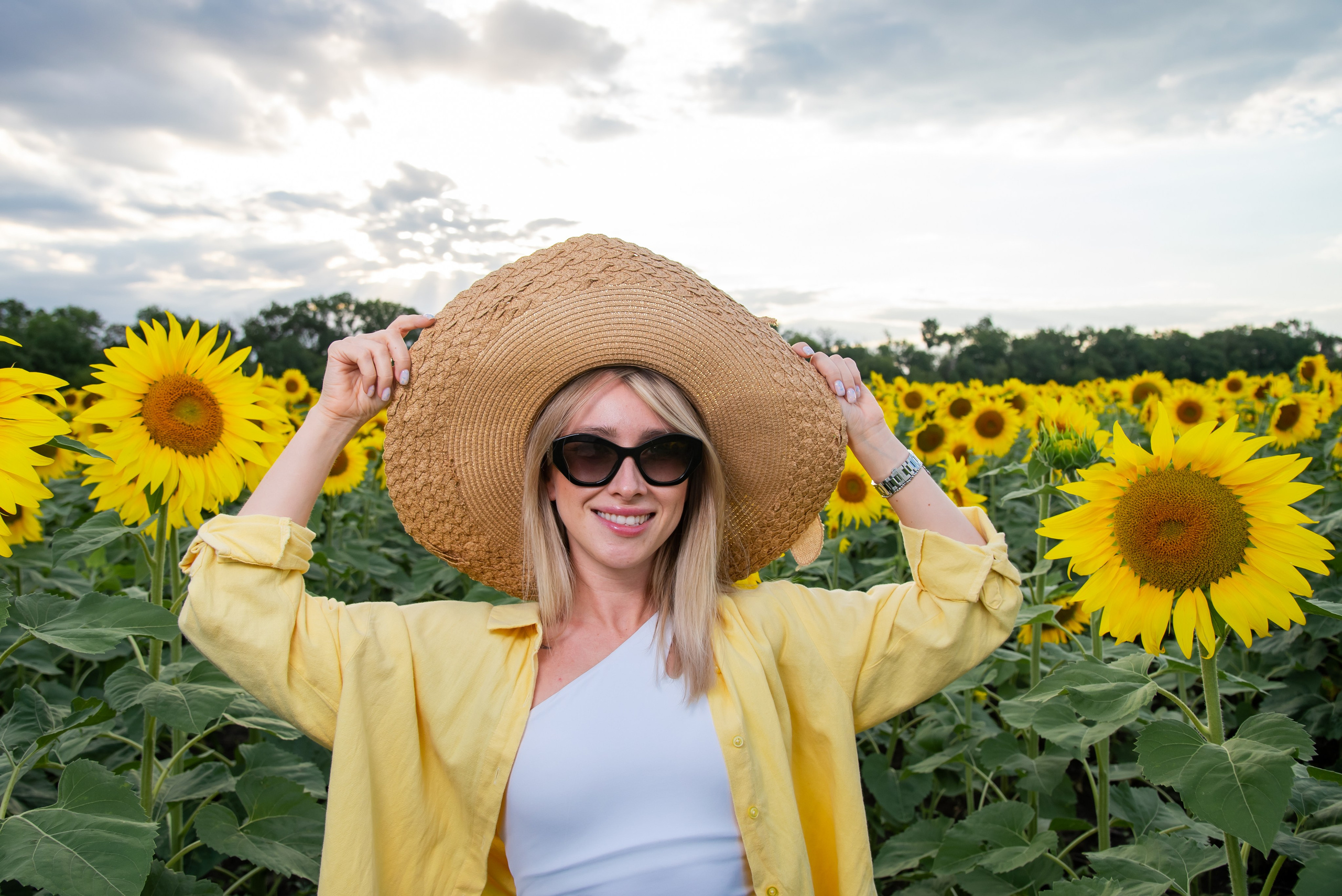 Подсолнух. Фотограф Галина Нестерова