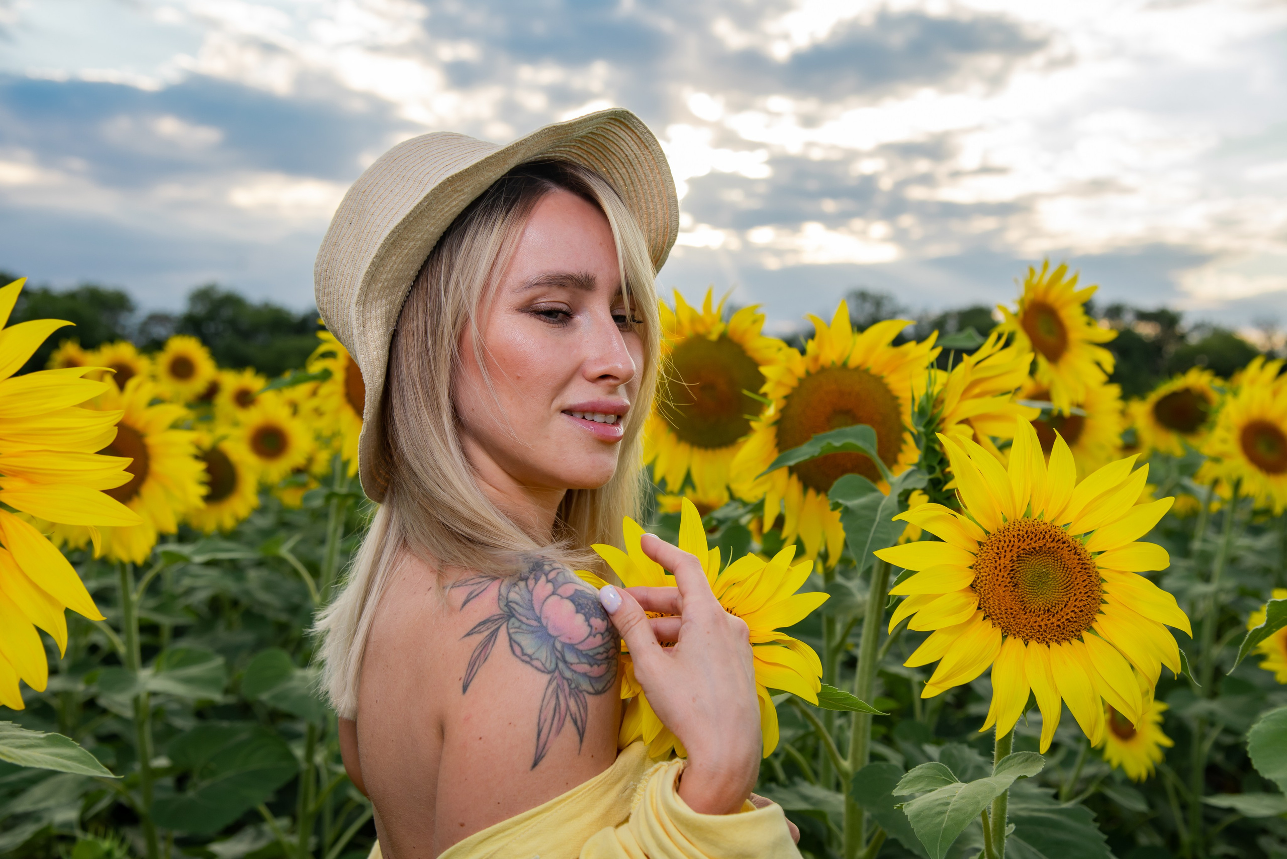 Подсолнух. Фотограф Галина Нестерова