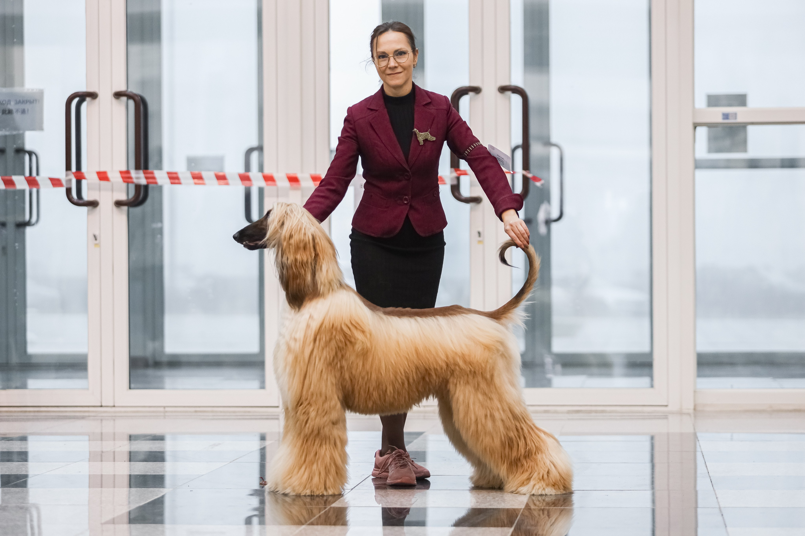 Международная выставка собак СACIB FCI 29-30.11.2025. Галерея фотографий афганской борзой