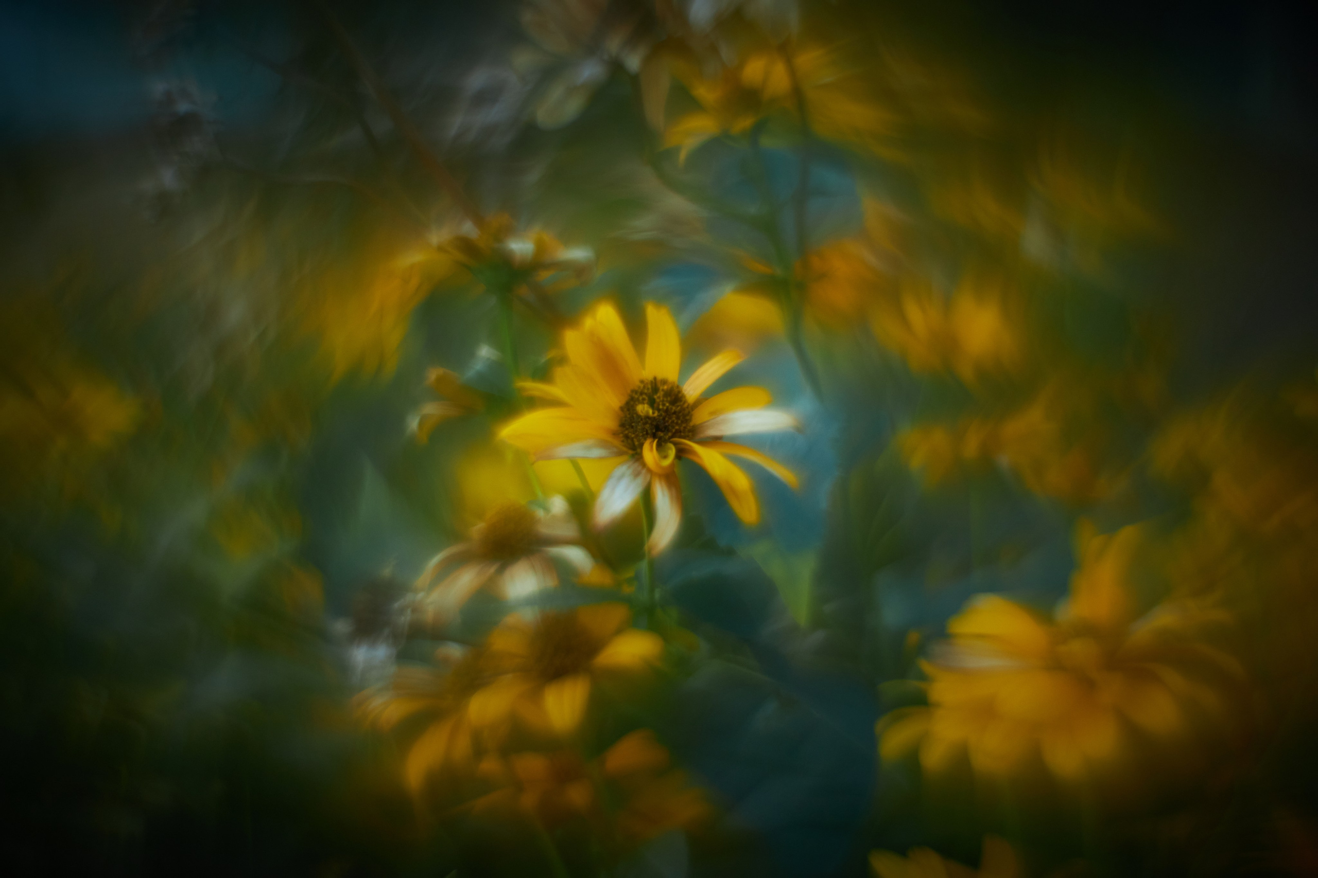 «Незримые Миры». Арт-фотограф во Владивостоке Дмитрий Осипчук