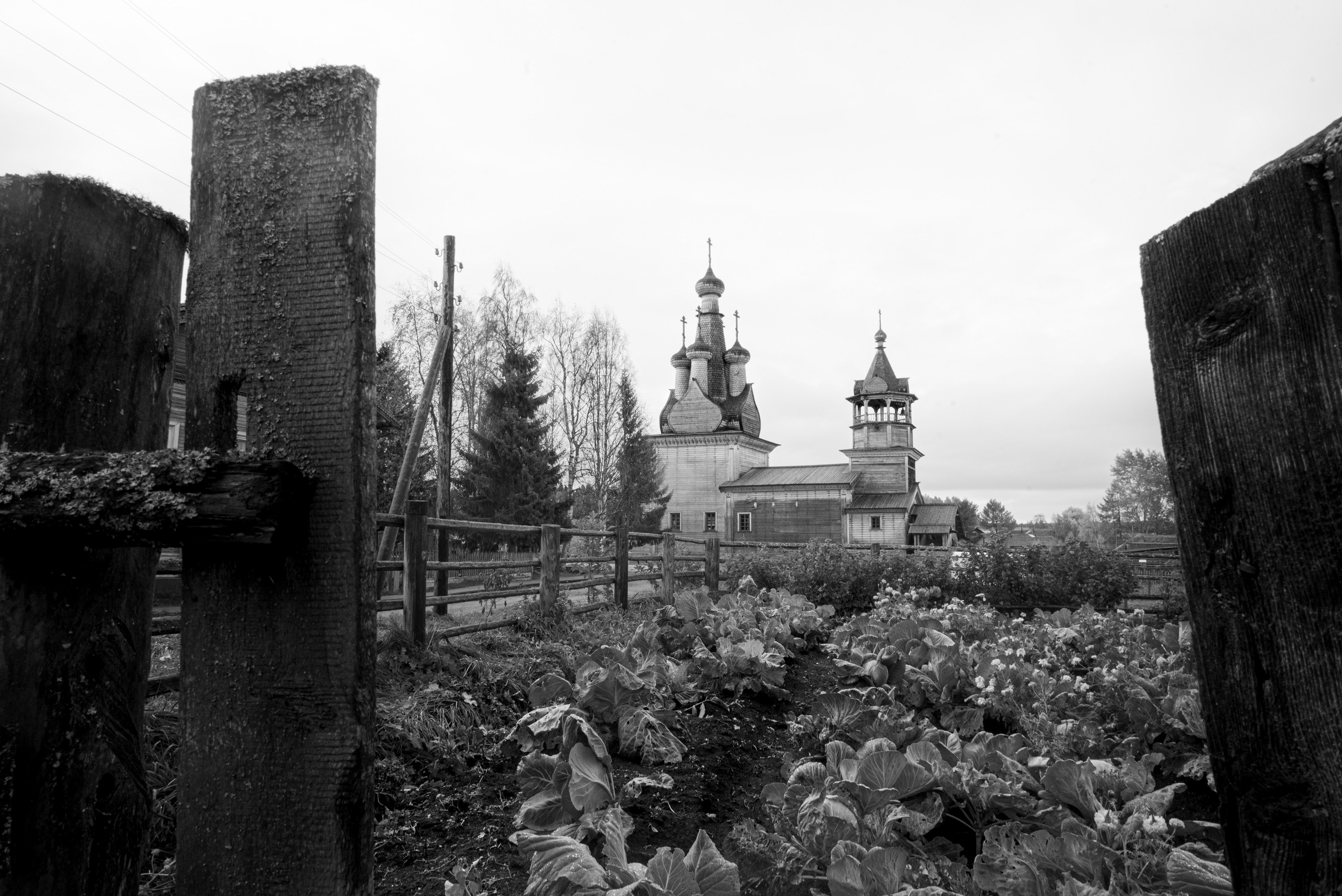 Деревня / Север II. Фотограф Антон Денисенко: Портрет, Документалистика, Пейзаж. Москва