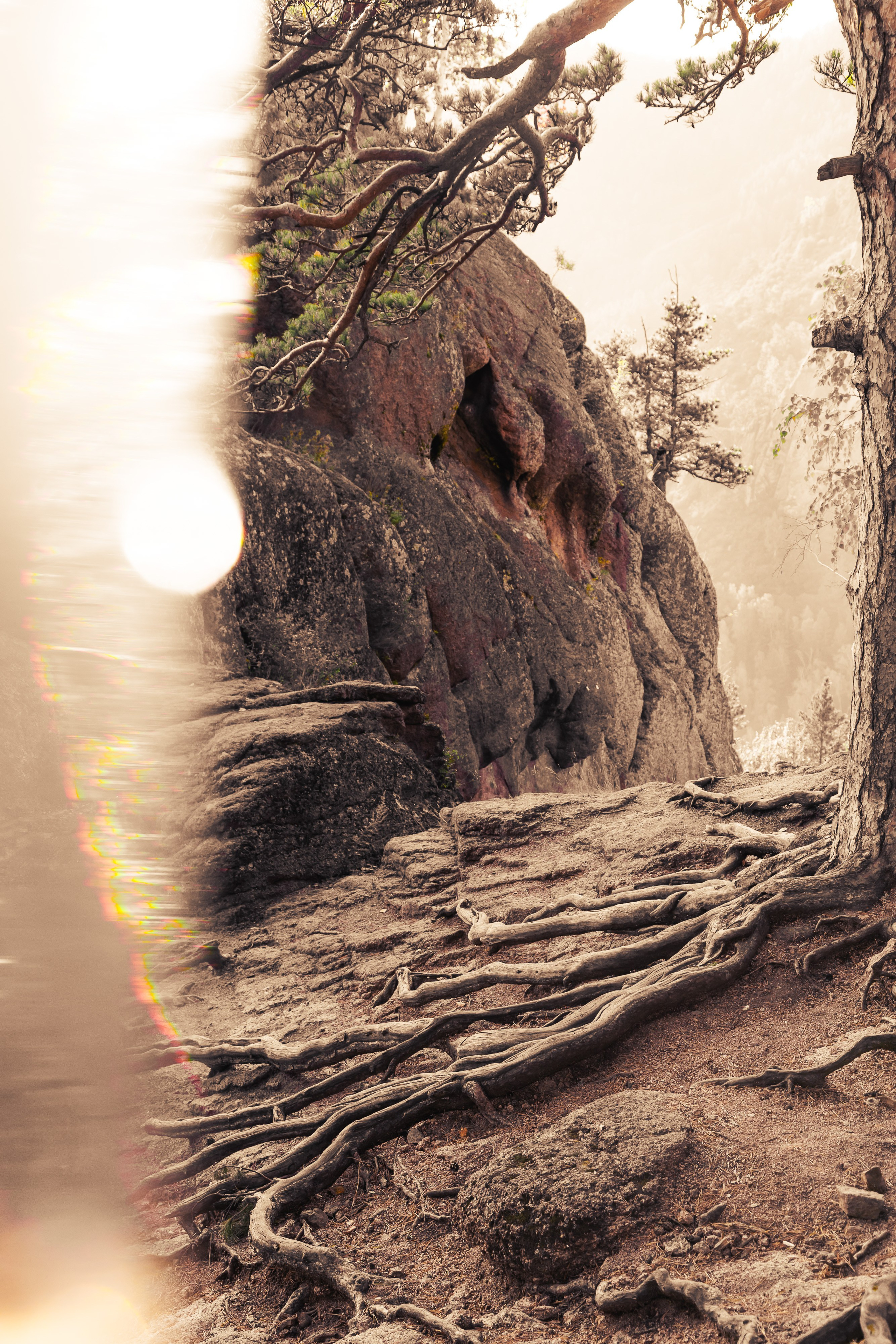 Ольга ~ Дар рода. НАСТИН ВЕТЕР — фотографии о тебе Анастасия Карнаухова — фотограф твоей личности