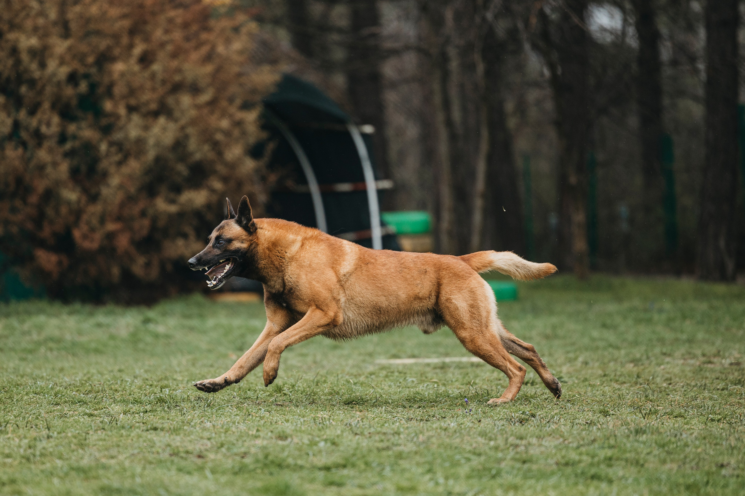 Геленджик Мондьоринг. Фотограф-анималист Анна Маринич