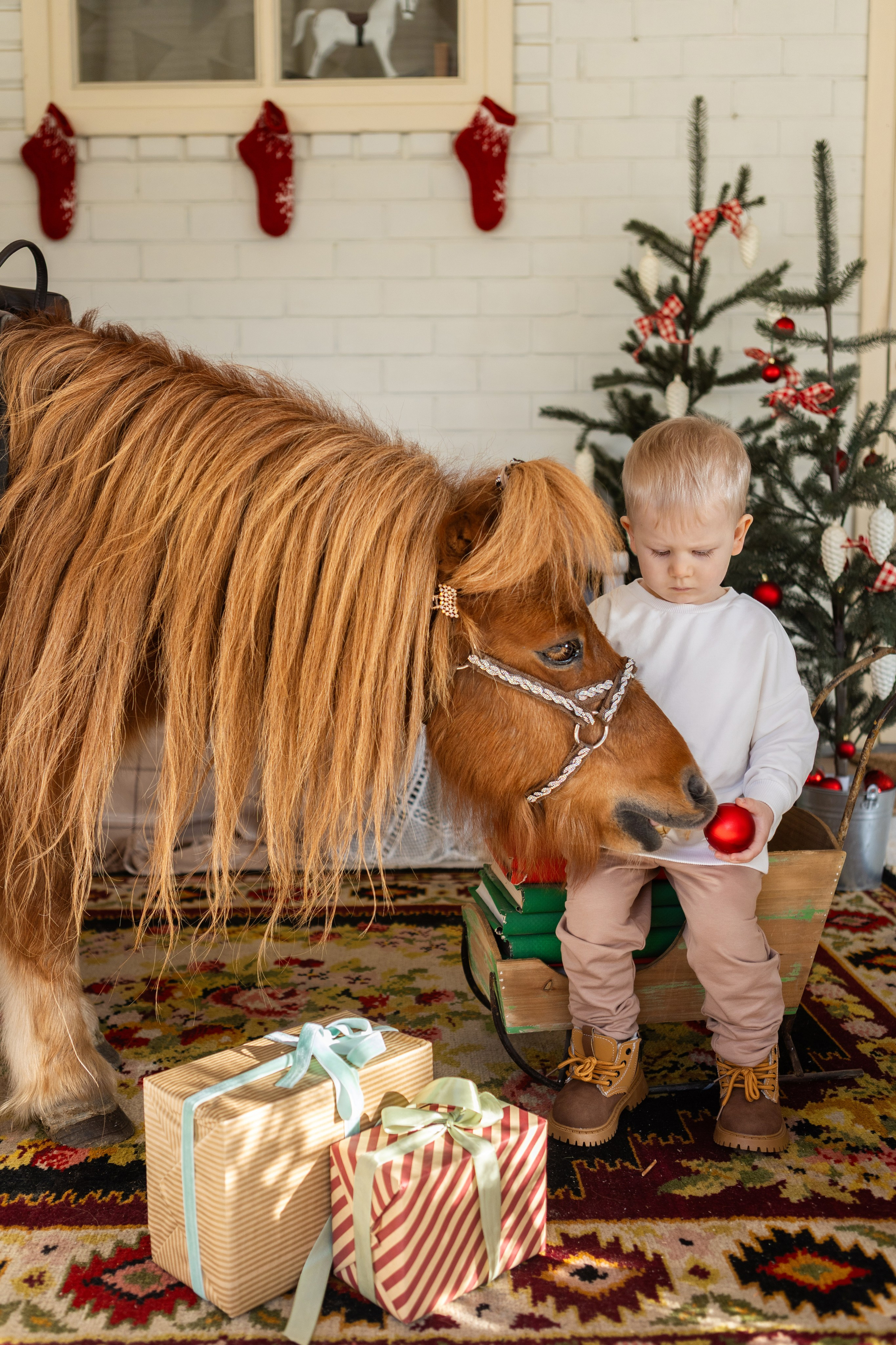 Символ 2026 года «Пони-Бонус». Фотостудия Ольги Сурухановой. Свадебный семейный и детский фотограф в Краснодаре Карина Федоровская