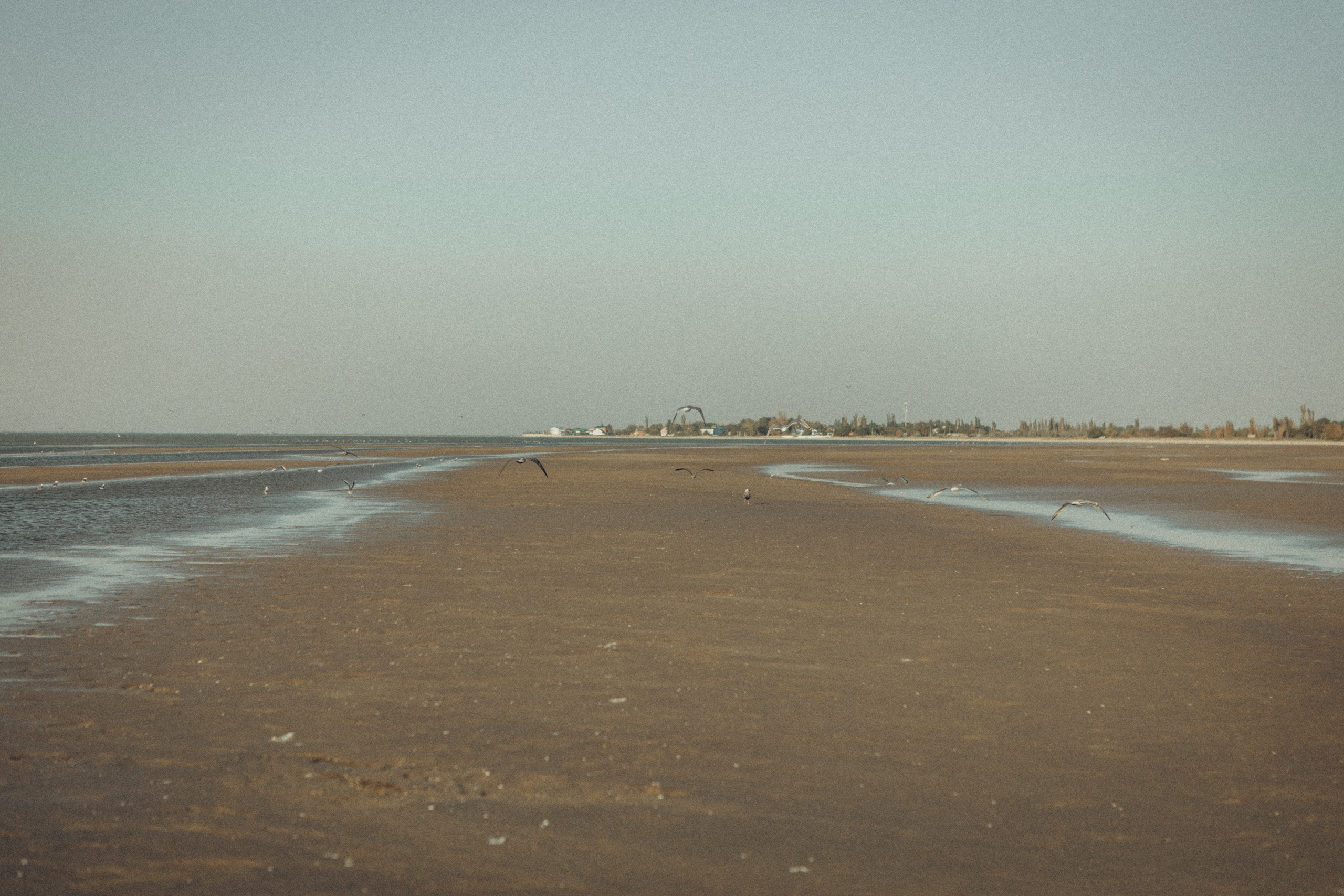 Family moment 💫. Семейный фотограф и фотограф на роды в Ростове-на-Дону Мухина Виктория