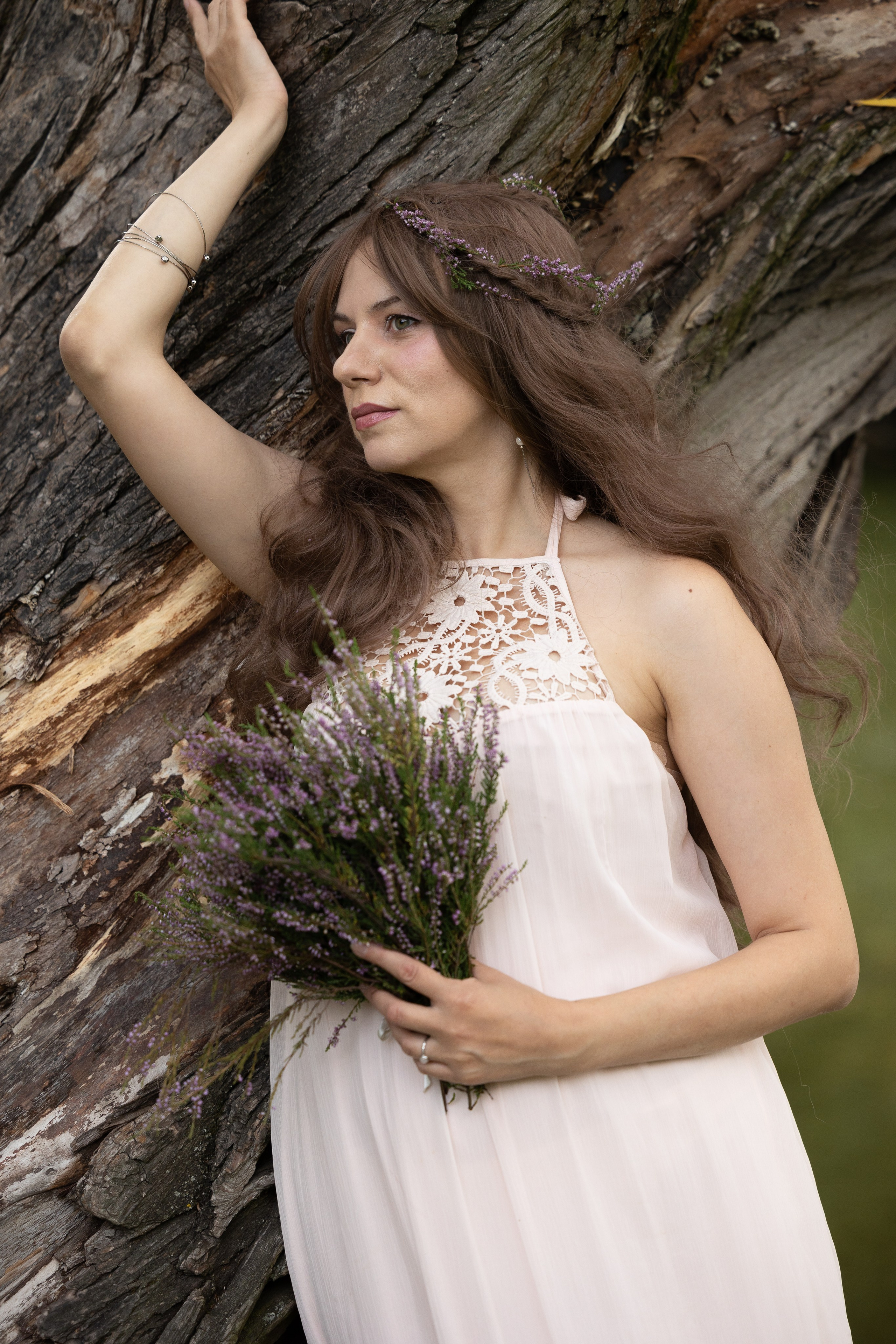 Проект Грация, парк Екатерингоф. Главная