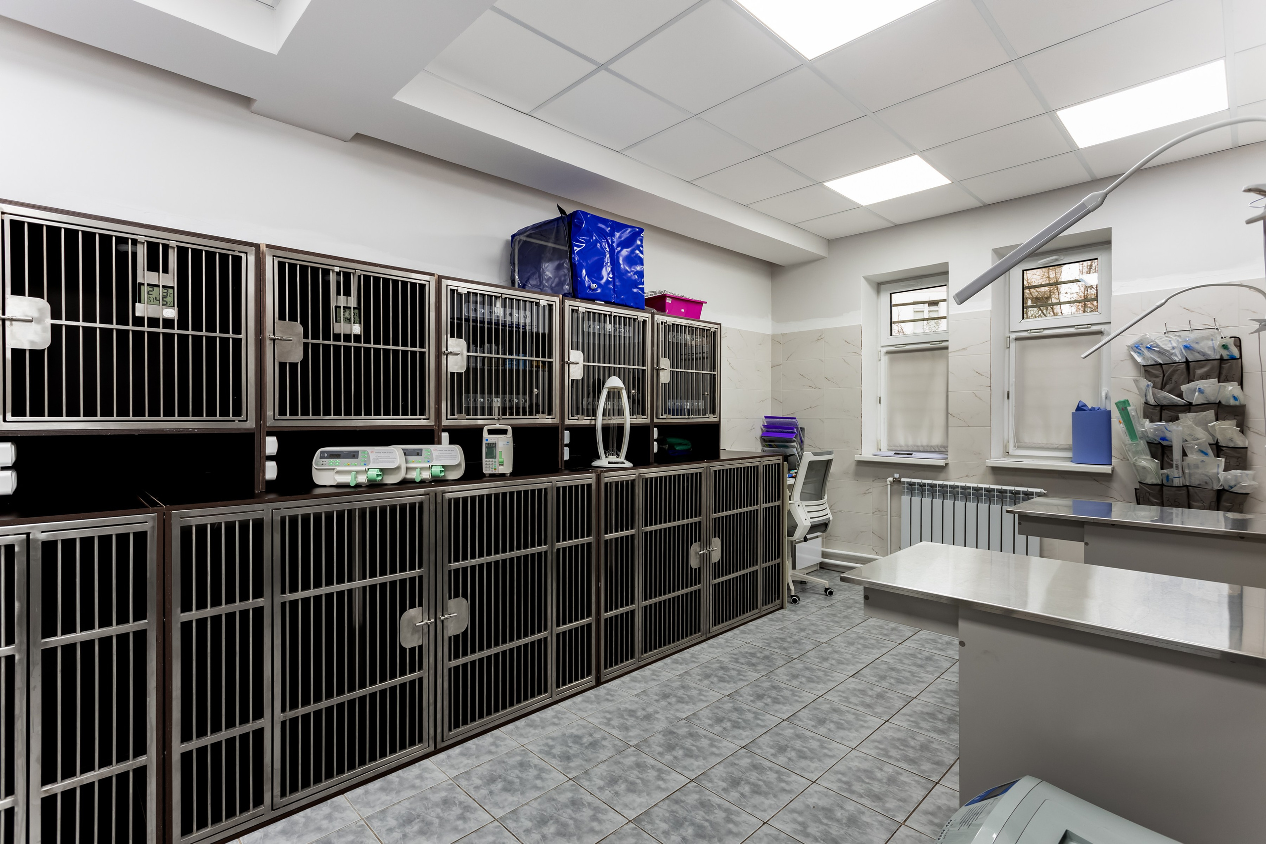 Интерьерная съемка для ветеринарной клиники КотОся. Интерьеры, Контент, Портреты | Фотограф в Москве Дани Терно