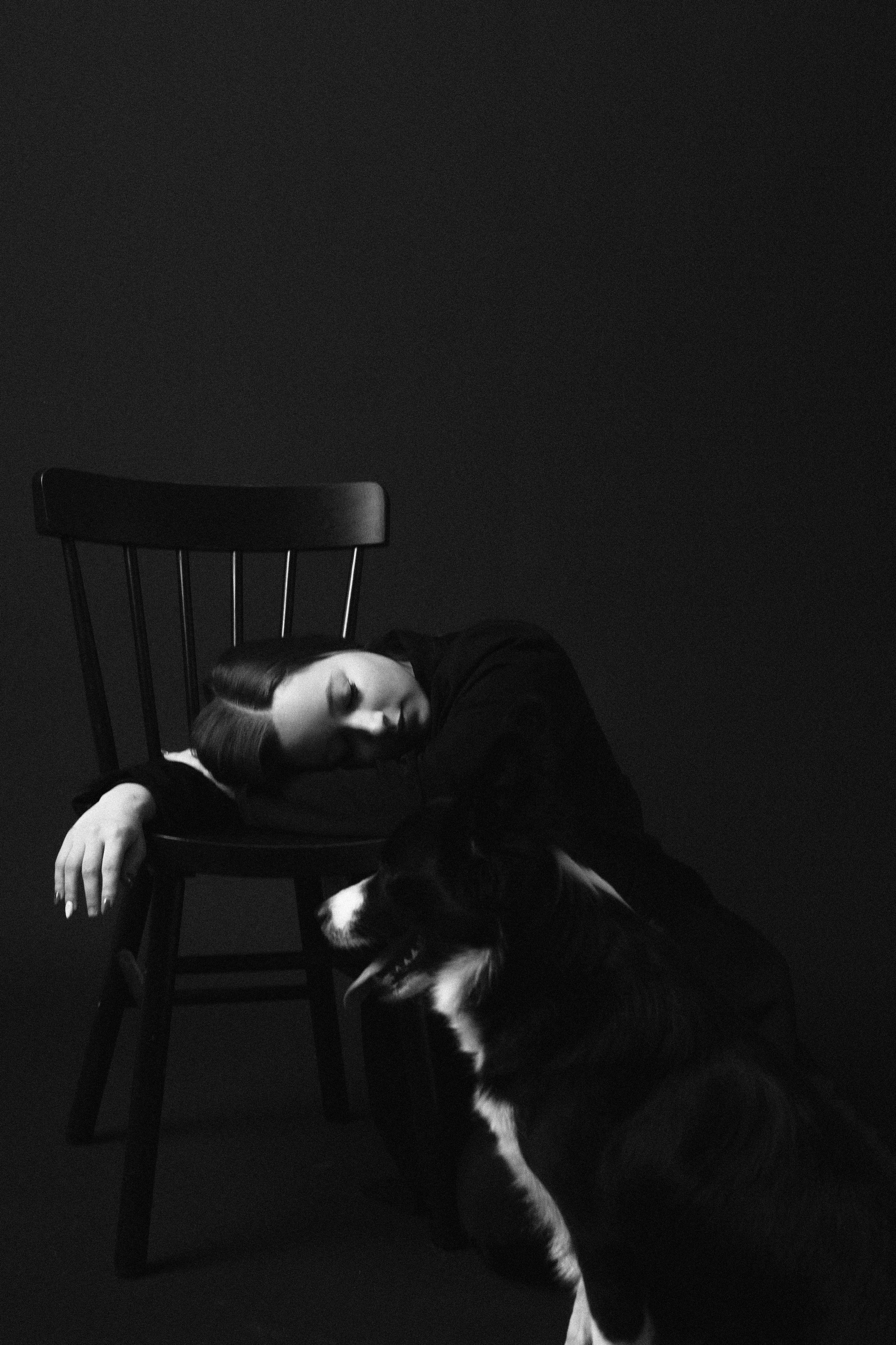 Даша, Дже и Рива. Фотограф-анималист Богданова Полина