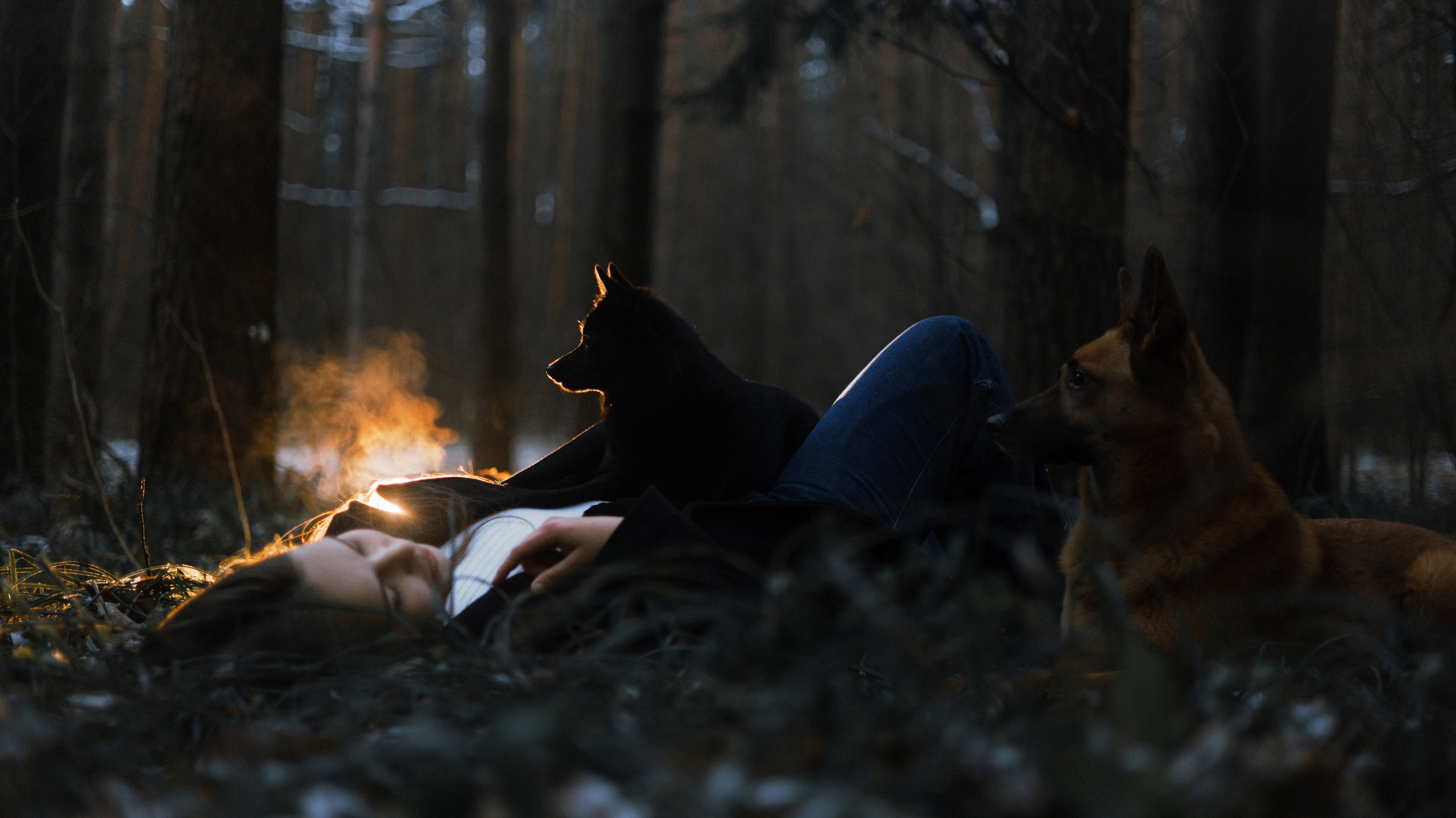 Юля, Лара и Йоми. Фотограф-анималист Богданова Полина