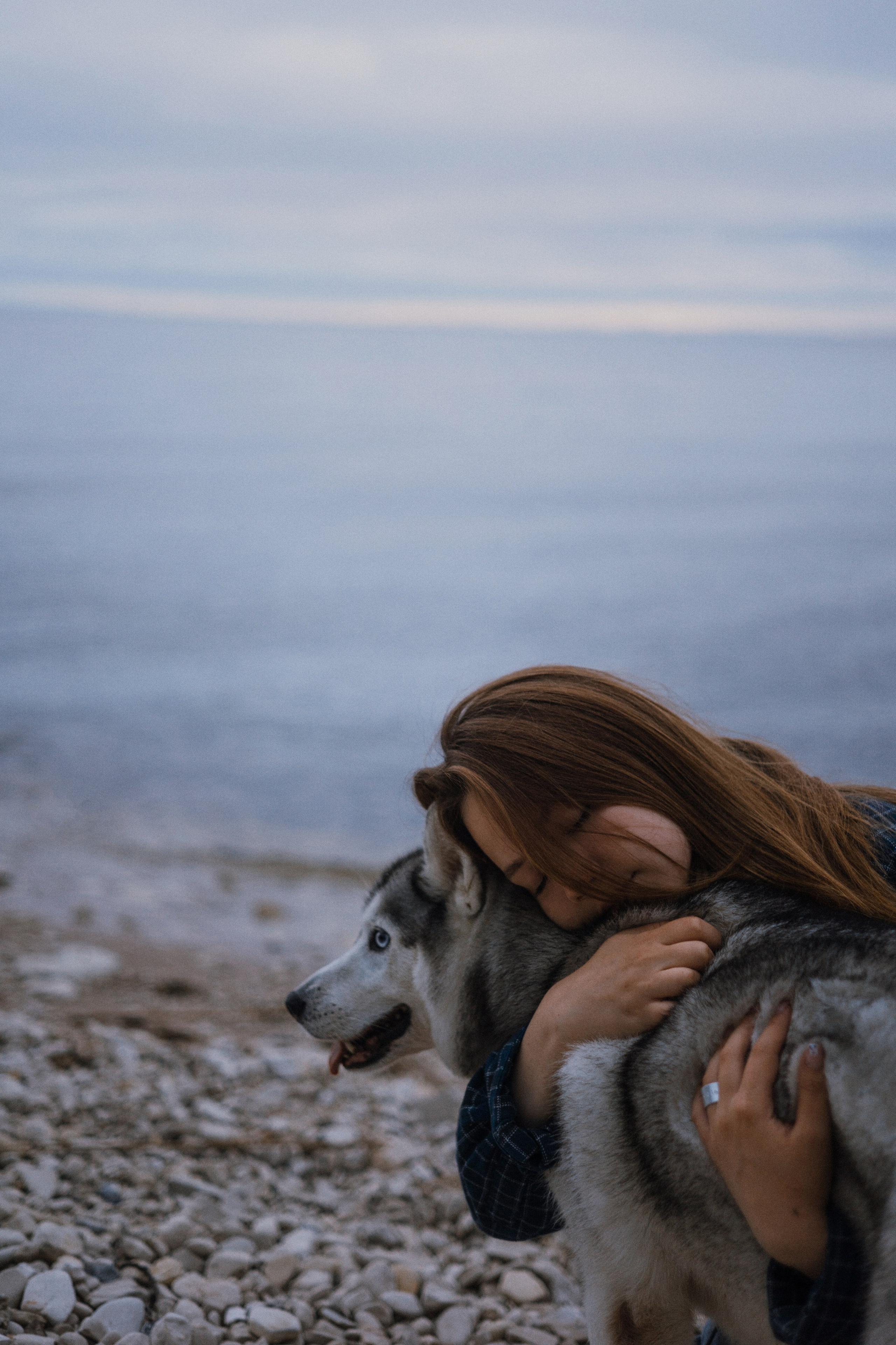 Аделя, Вандер, Шайна и Бая. Фотограф-анималист Богданова Полина