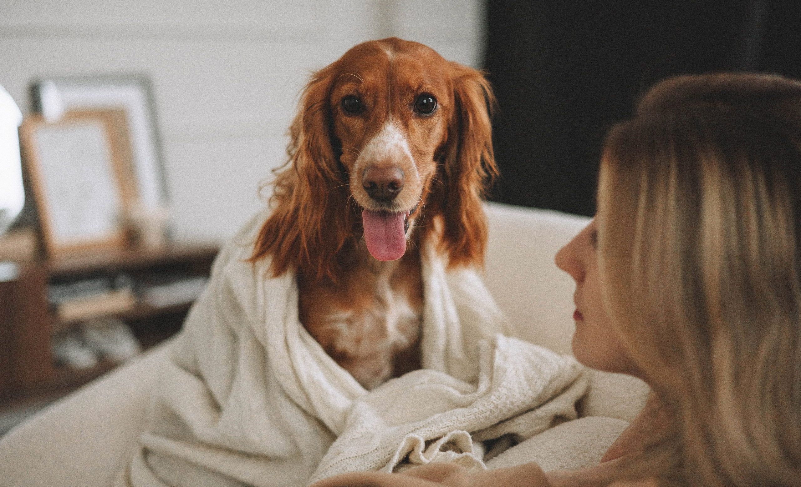 Алина и Дженни. Фотограф-анималист Богданова Полина