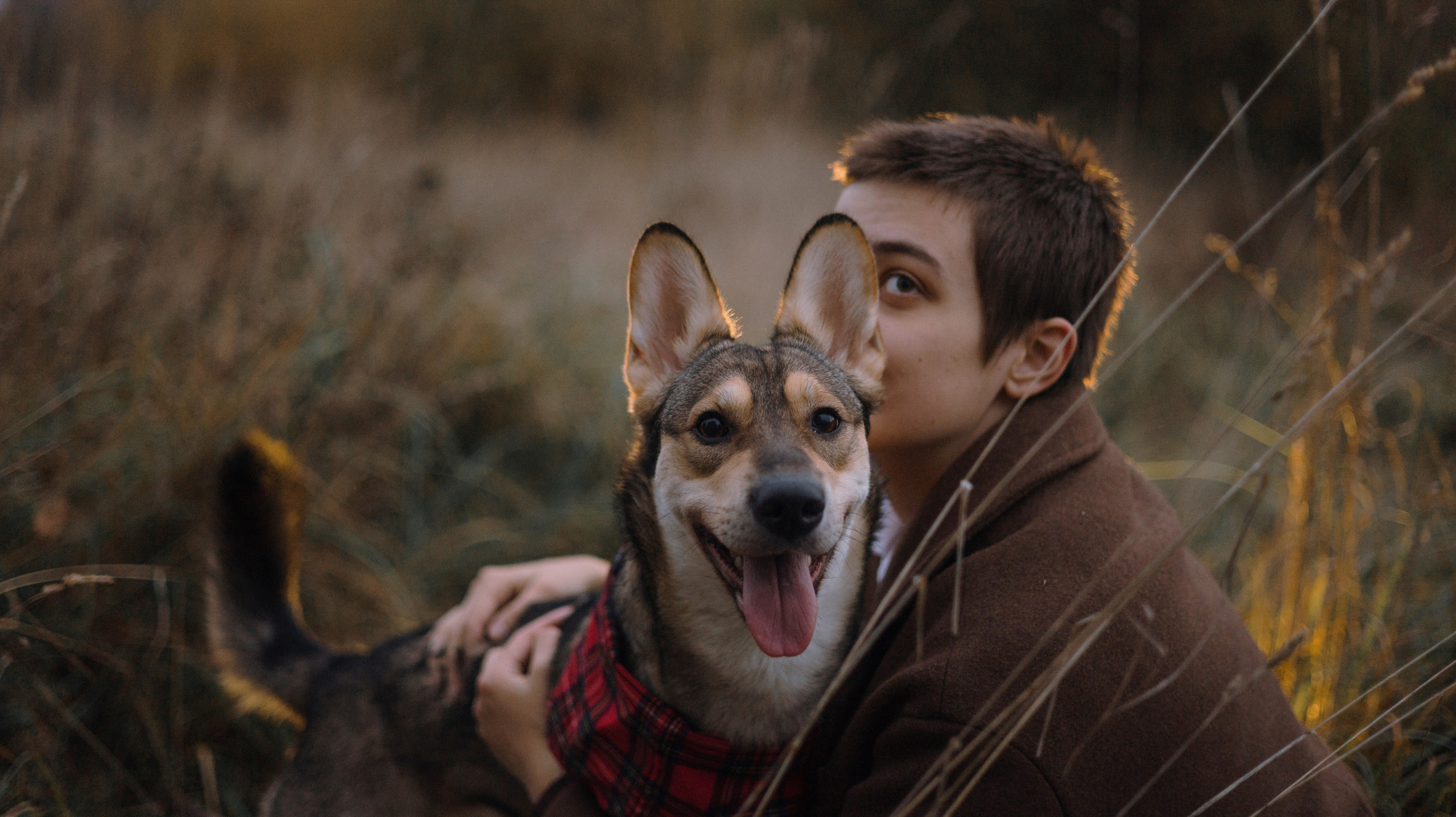 Маша, Катя, Астрид и Мася. Фотограф-анималист Богданова Полина
