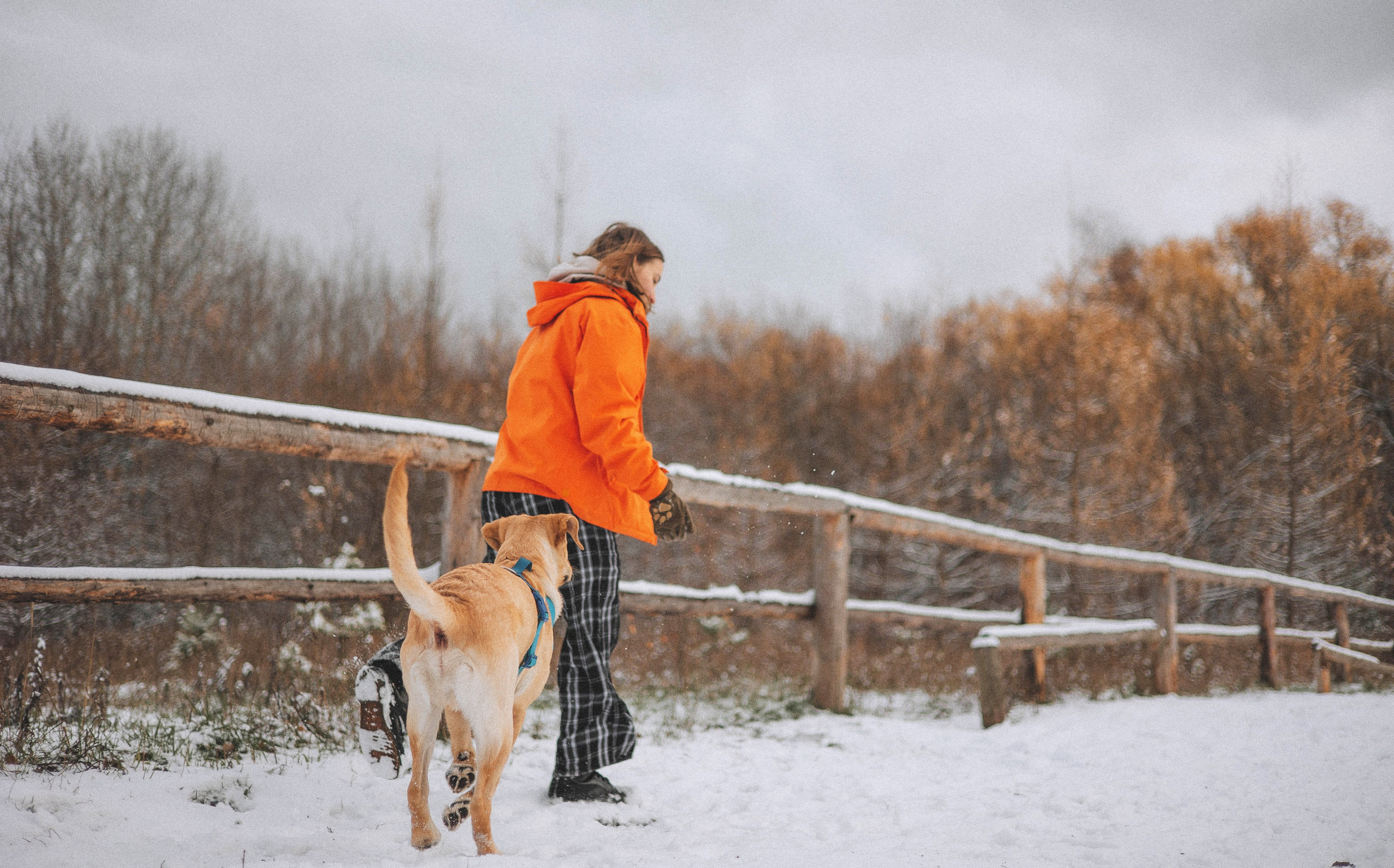 Маргарита и Варди. Фотограф-анималист Богданова Полина
