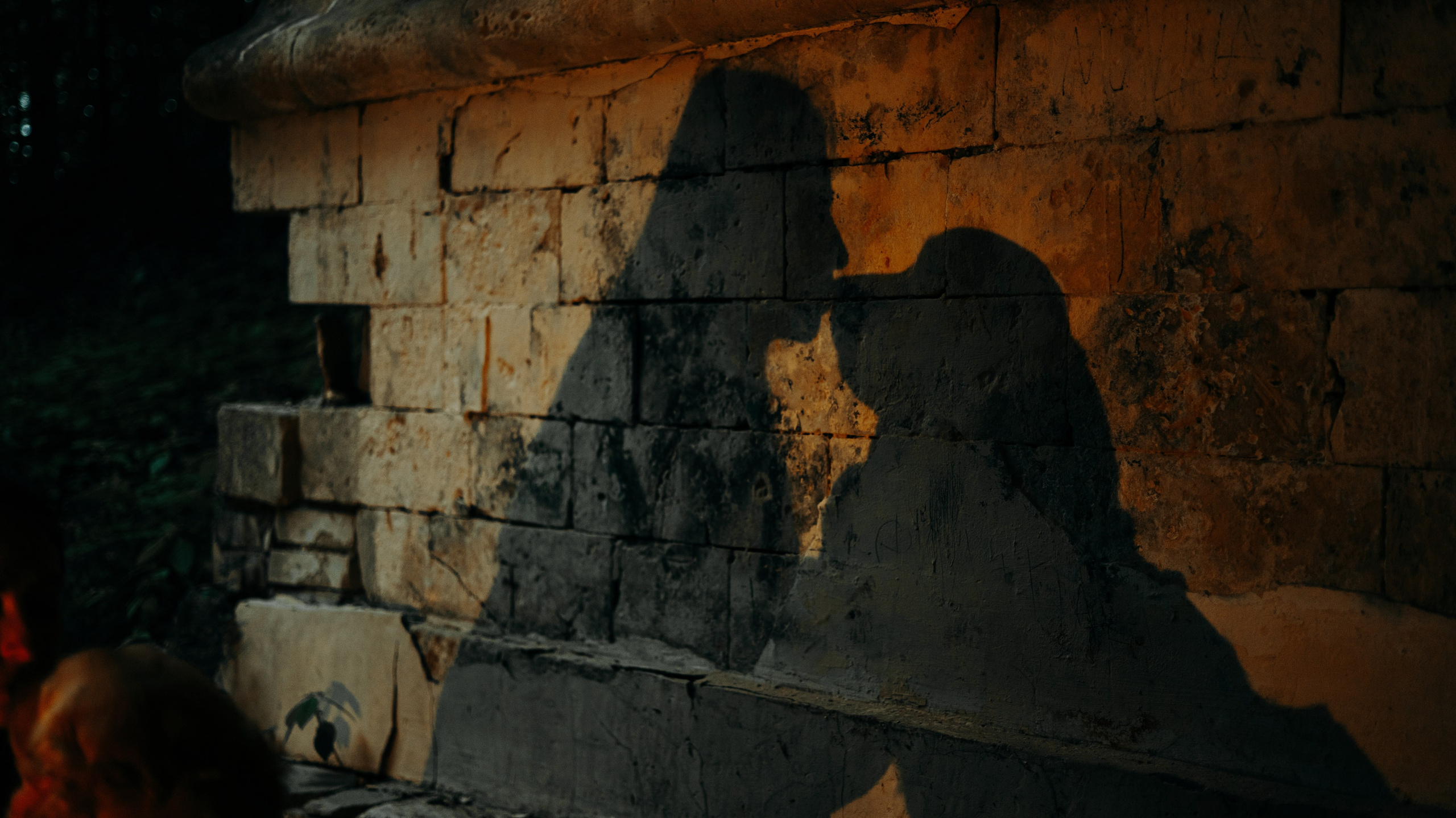 Марина и Чили. Фотограф-анималист Богданова Полина