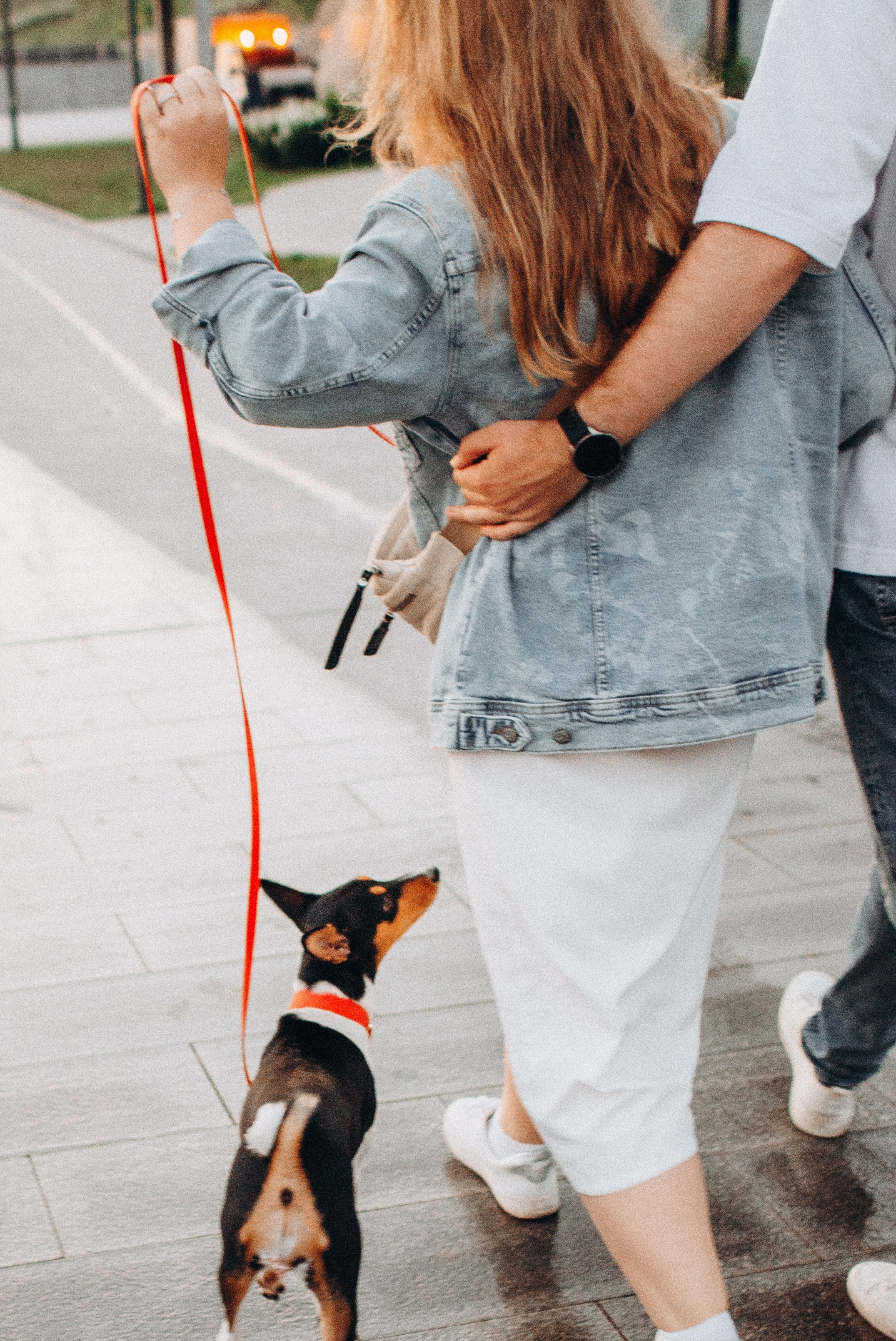 Лена, Никита и Эсма. Фотограф-анималист Богданова Полина