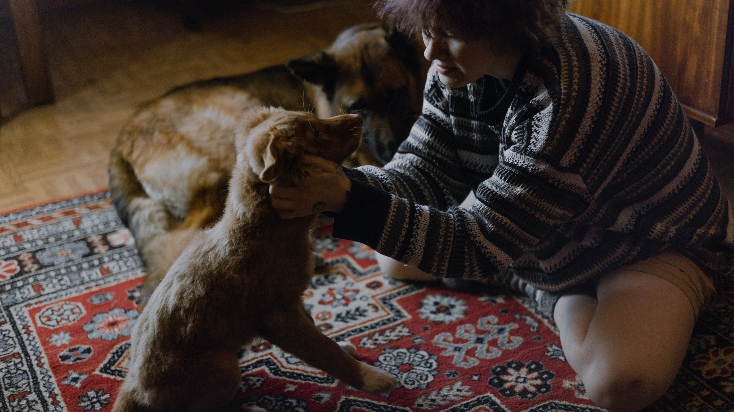 Лера, Реджи и Ральф. Фотограф-анималист Богданова Полина