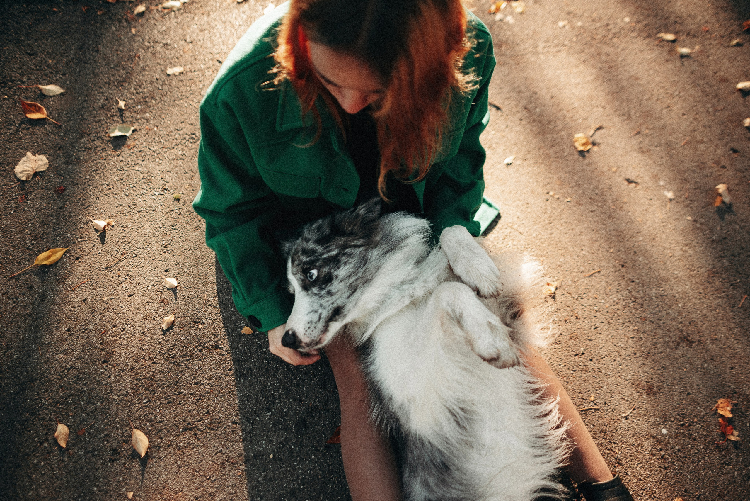 Диана и Робин. Фотограф-анималист Богданова Полина