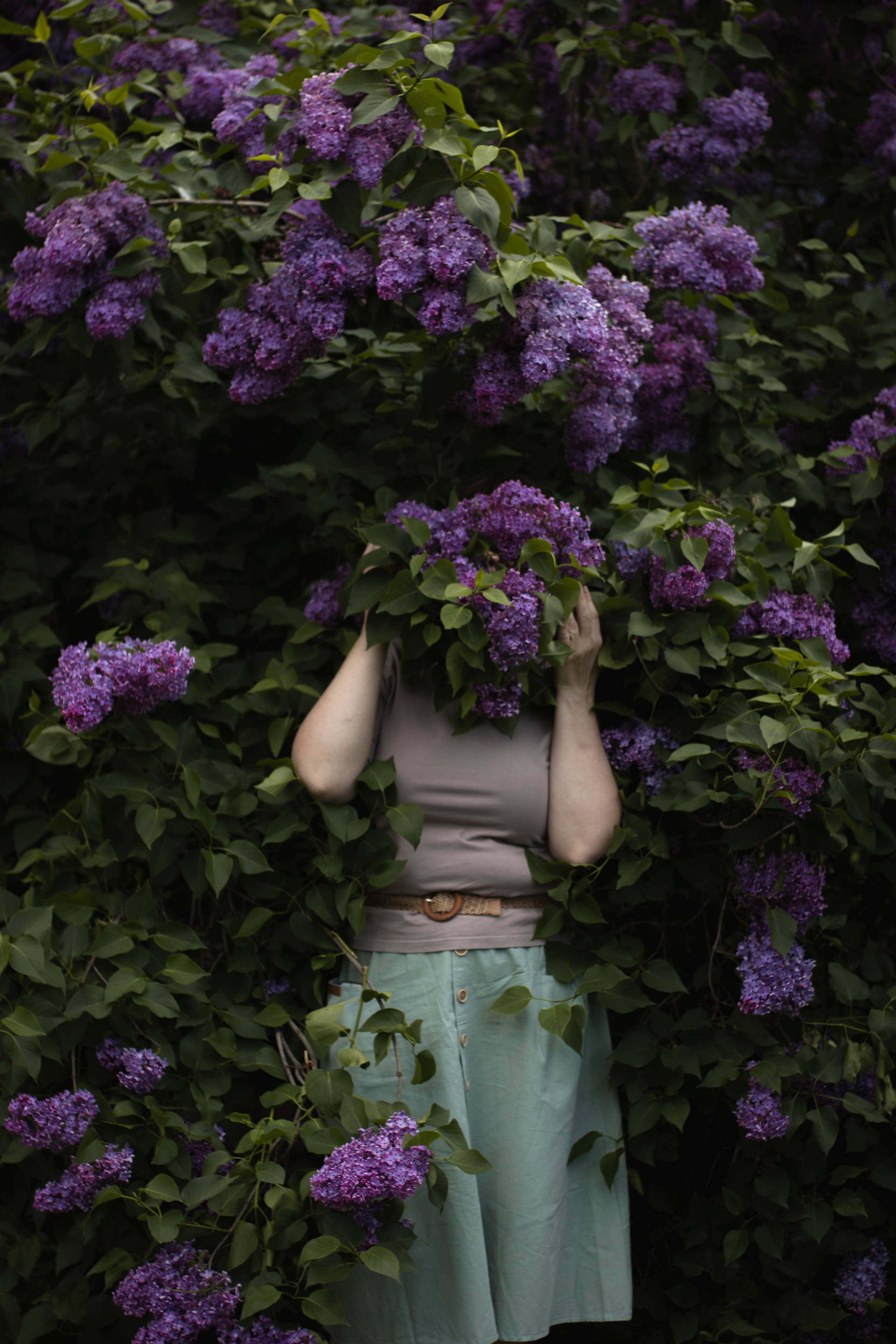 Сиреневый сад. Семейный и детский фотограф в Павловском Посаде Сарапкина Наталья