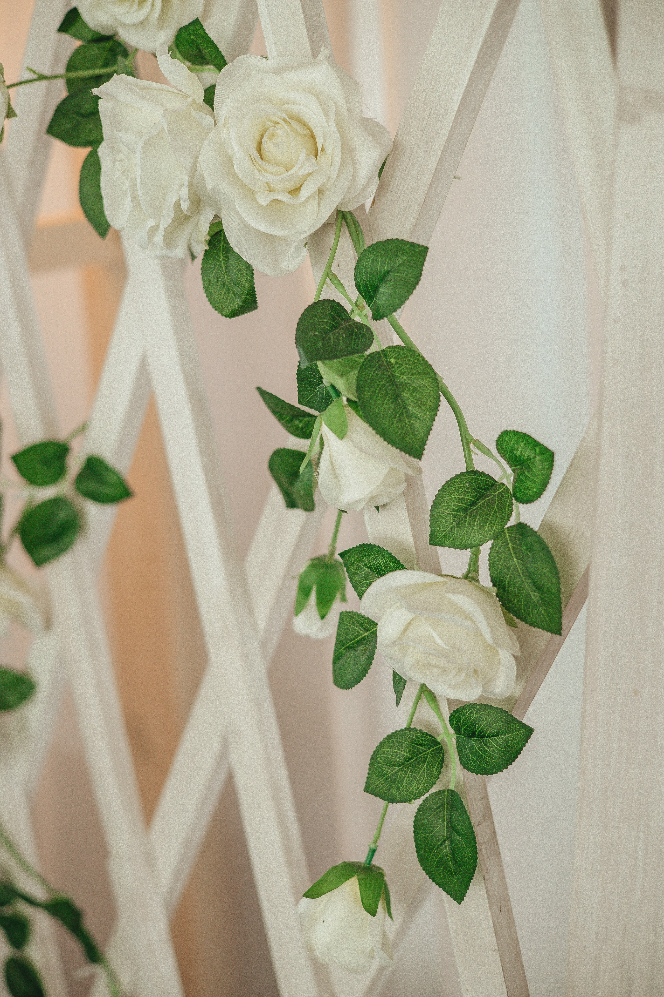 Саша & Настя. Полный день. Свадебный и семейный фотограф Пушкин Царское Село СПБ Питер Санкт-Петербург и Рязань Ольга Козлова