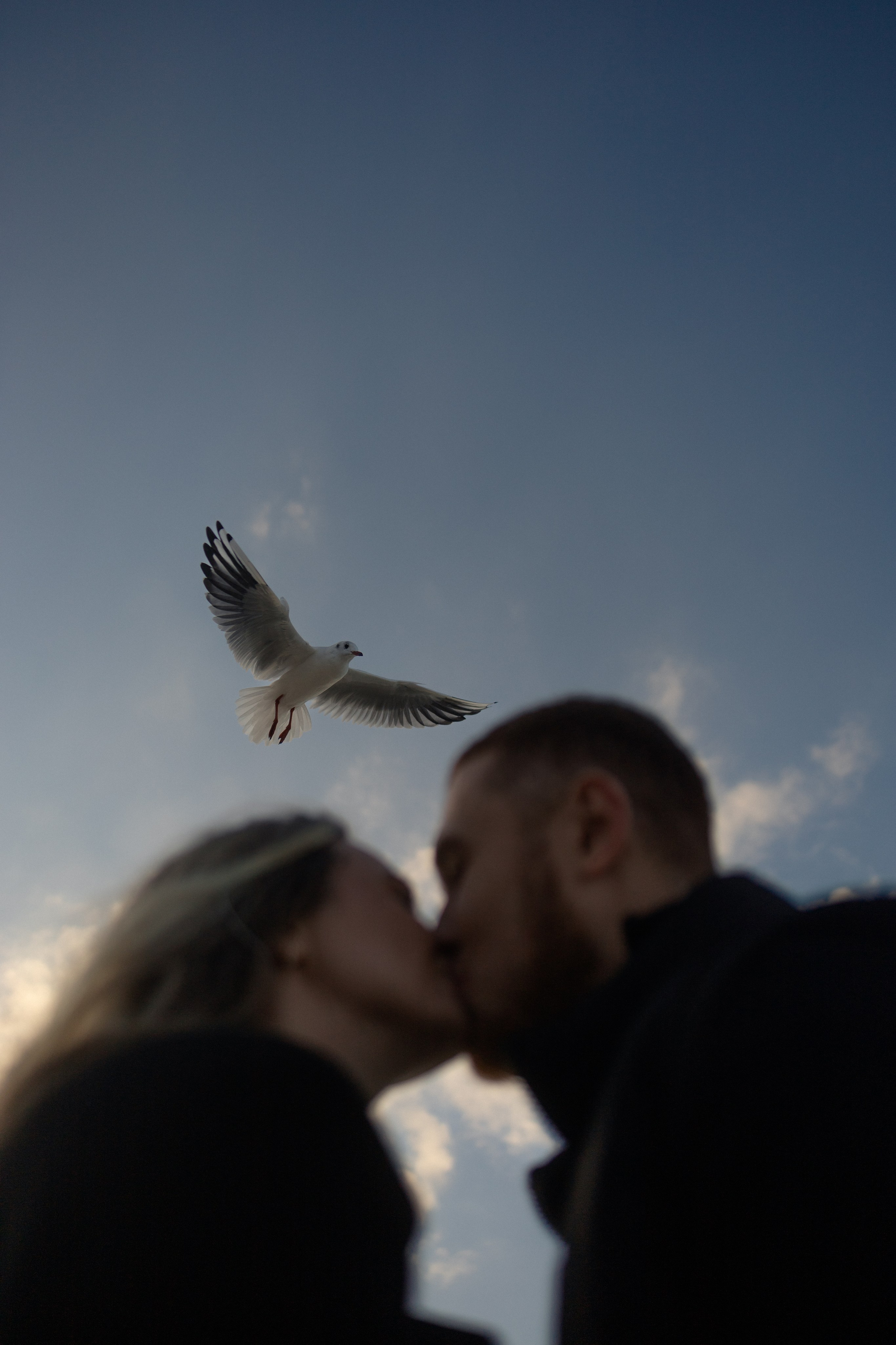 Портфолио. Фотограф Калининград