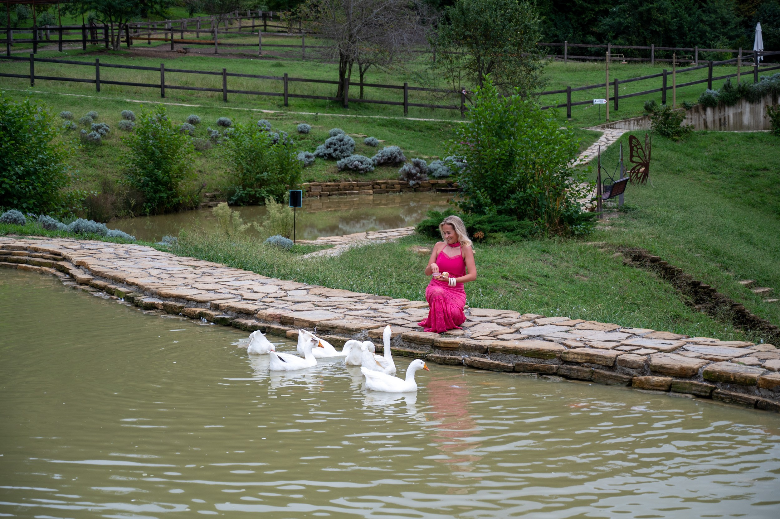Ферма «ЭКЗАРХО» 03.10.2024 г. Фотографирую счастливых людей в Сочи