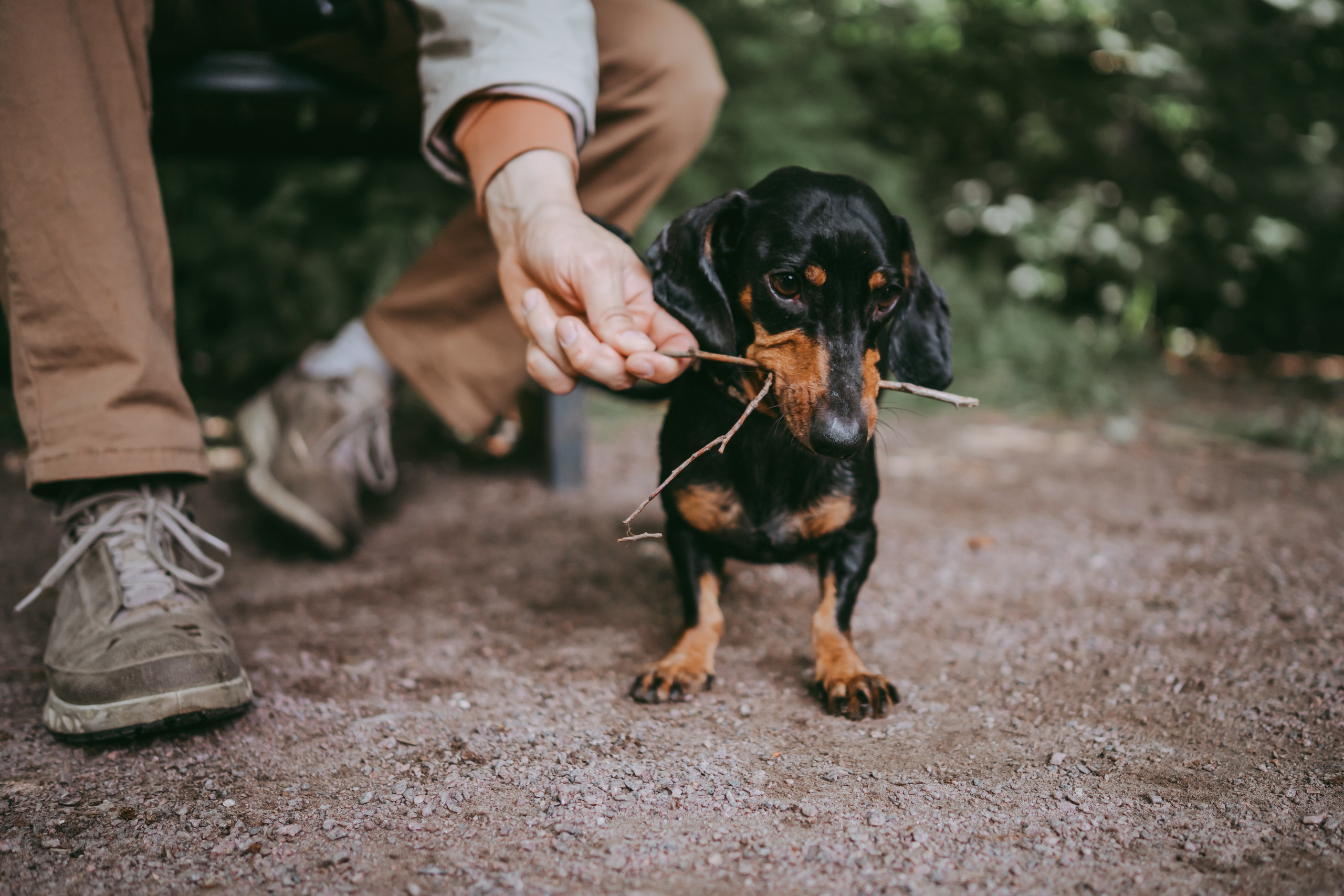 Прогулка в парке. Семейный фотограф в Москве и Подмосковье Иванова Нина