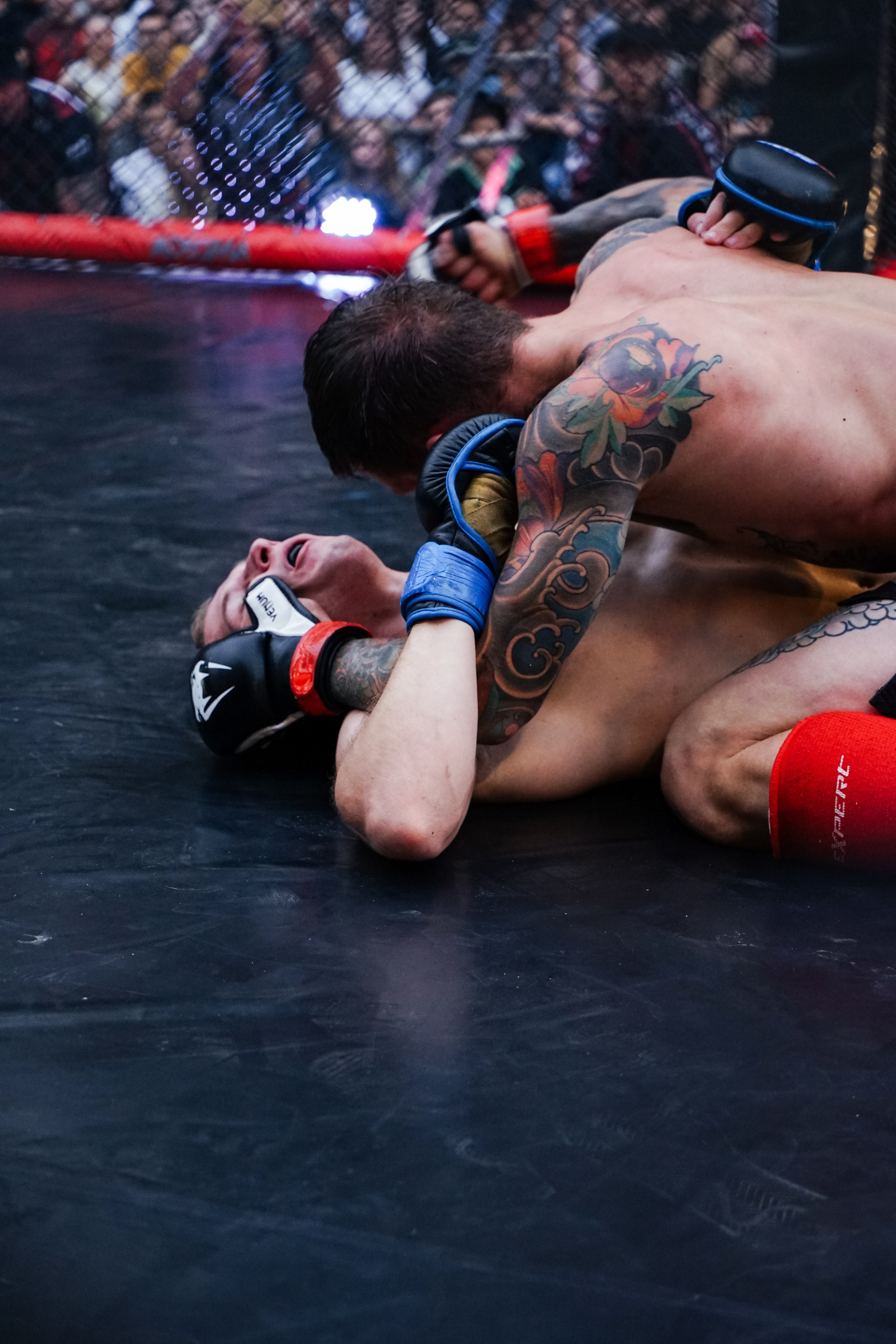 Вечер боев в ЦПКиО. Фотограф Надежда Погребняк | Рязань | Москва