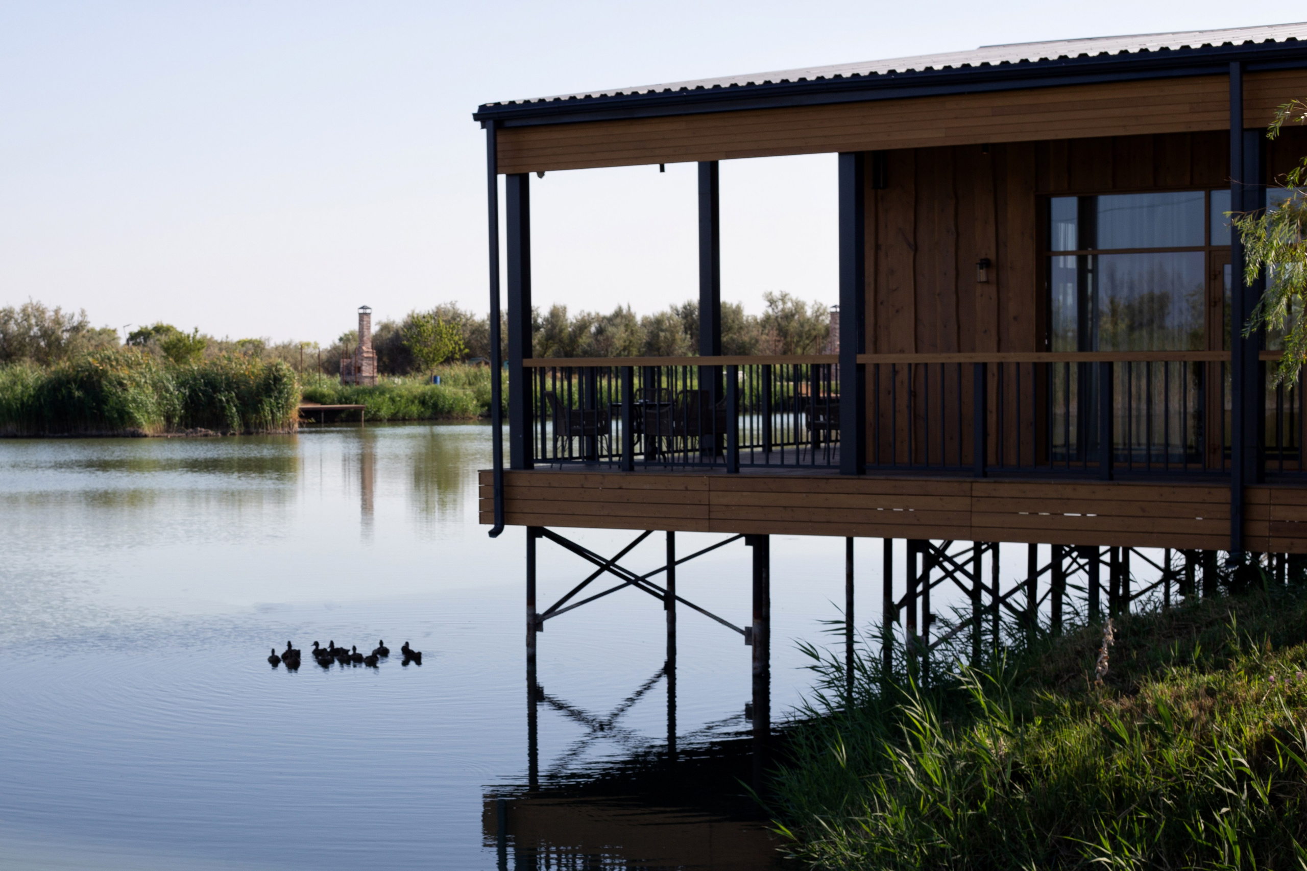 Свадебный репортаж. Главная