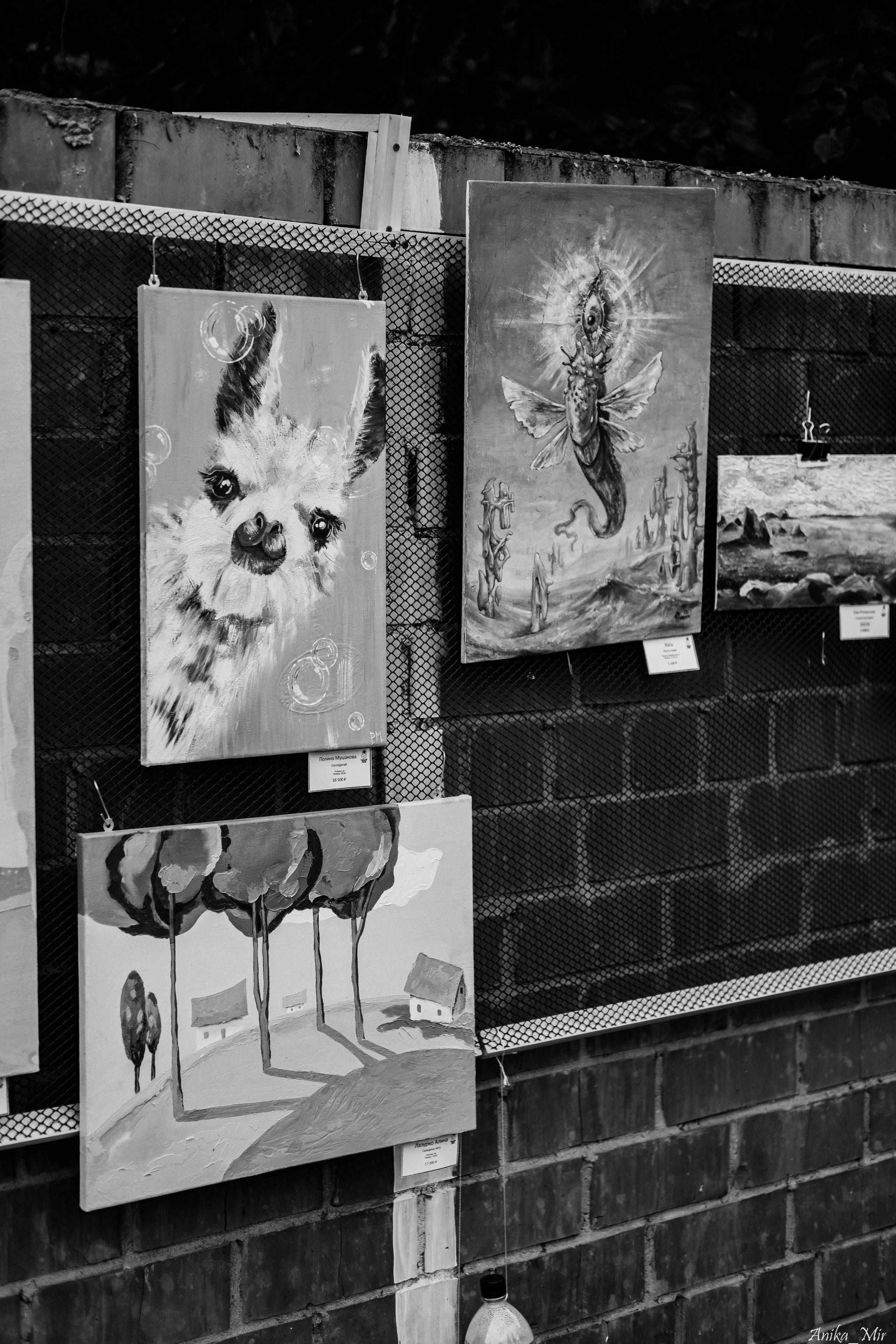 Уличный спектакль. Фотограф в Иркутске Анна Мирошникова