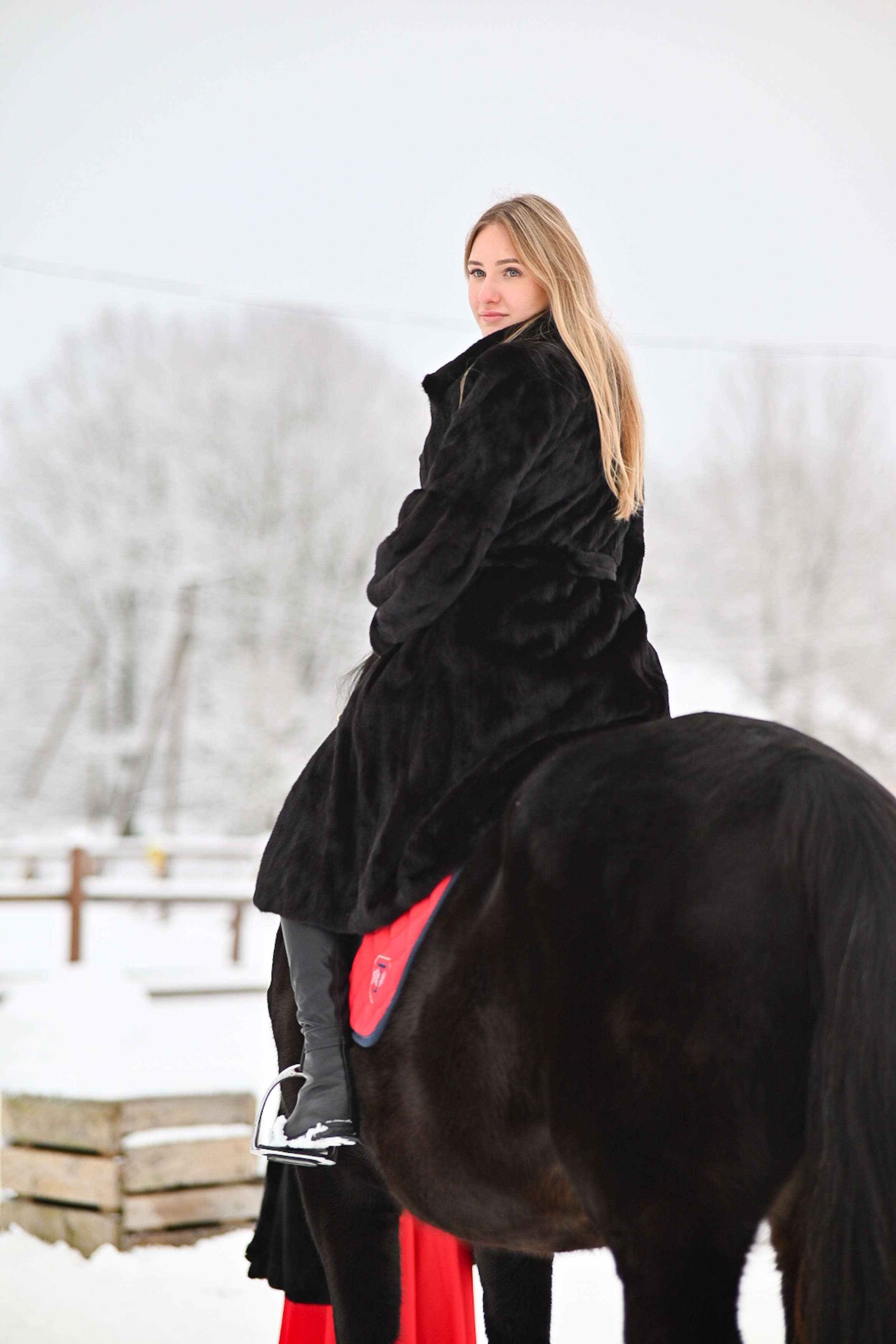 King. LifeStyle фотограф Анна Воробьёва Санкт-Петербург