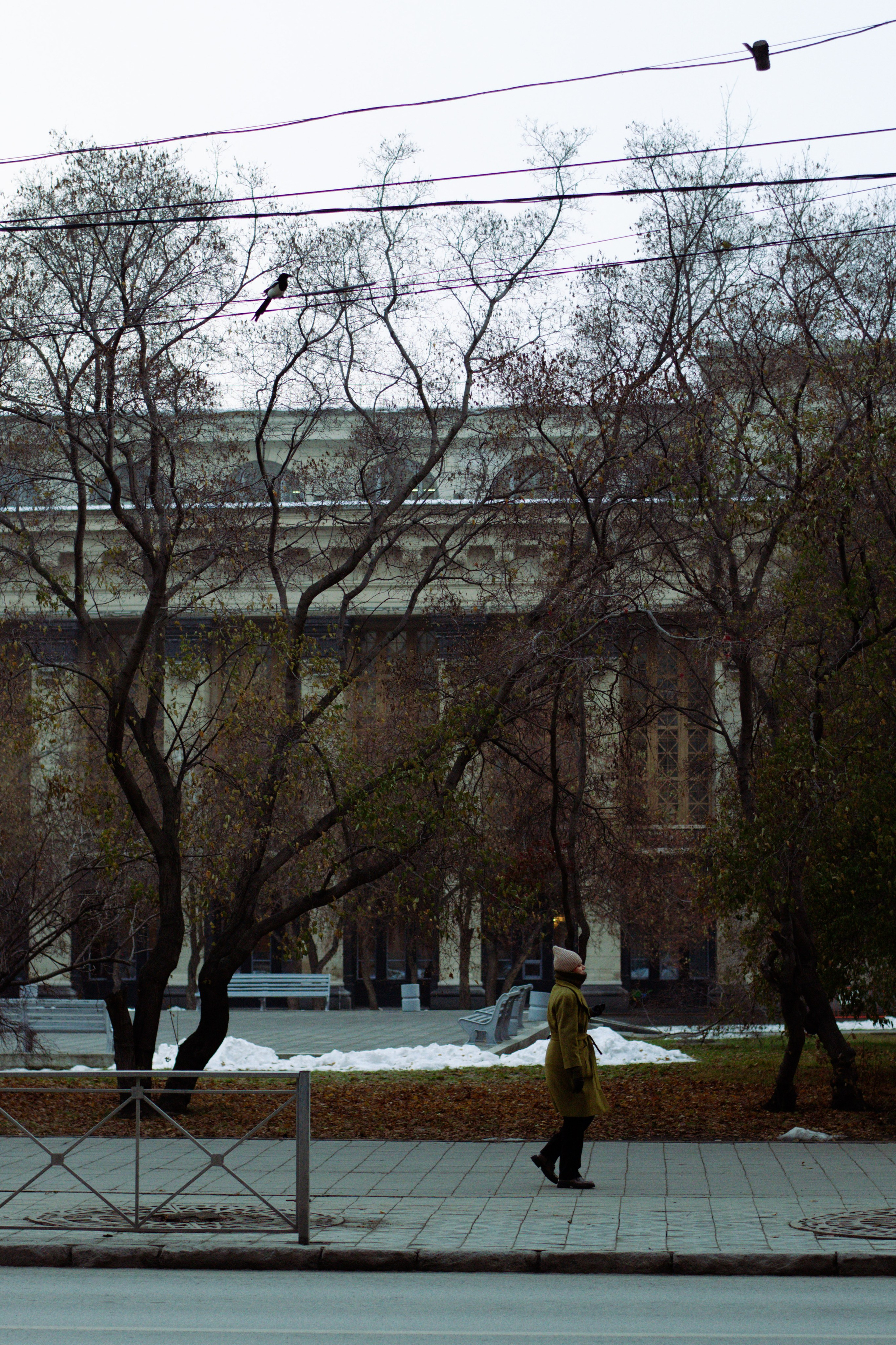 STREET. Фотограф Ольга Дмитриева. Новосибирск