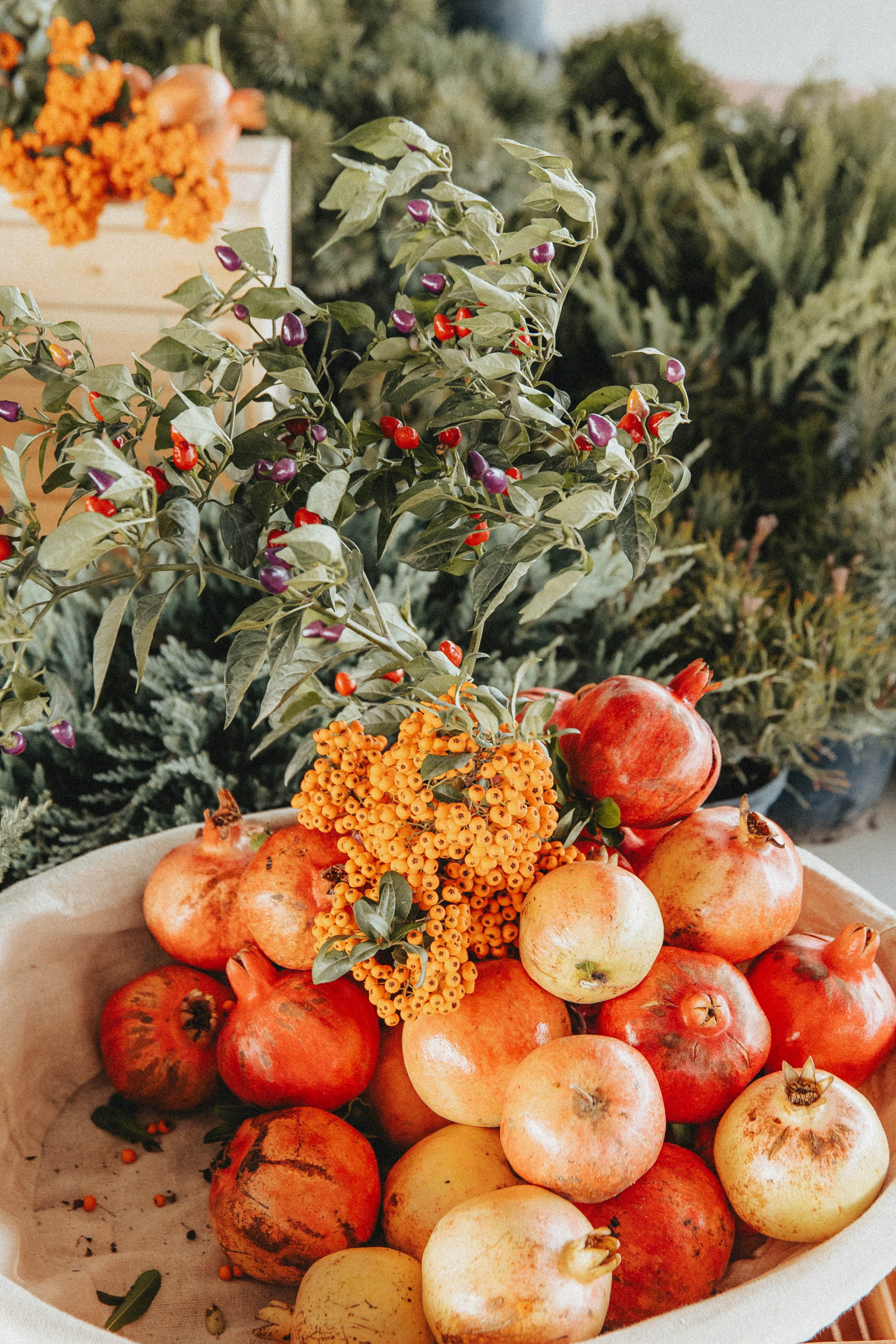 Зеленый фестиваль в Крыму. Izotoff Photographer